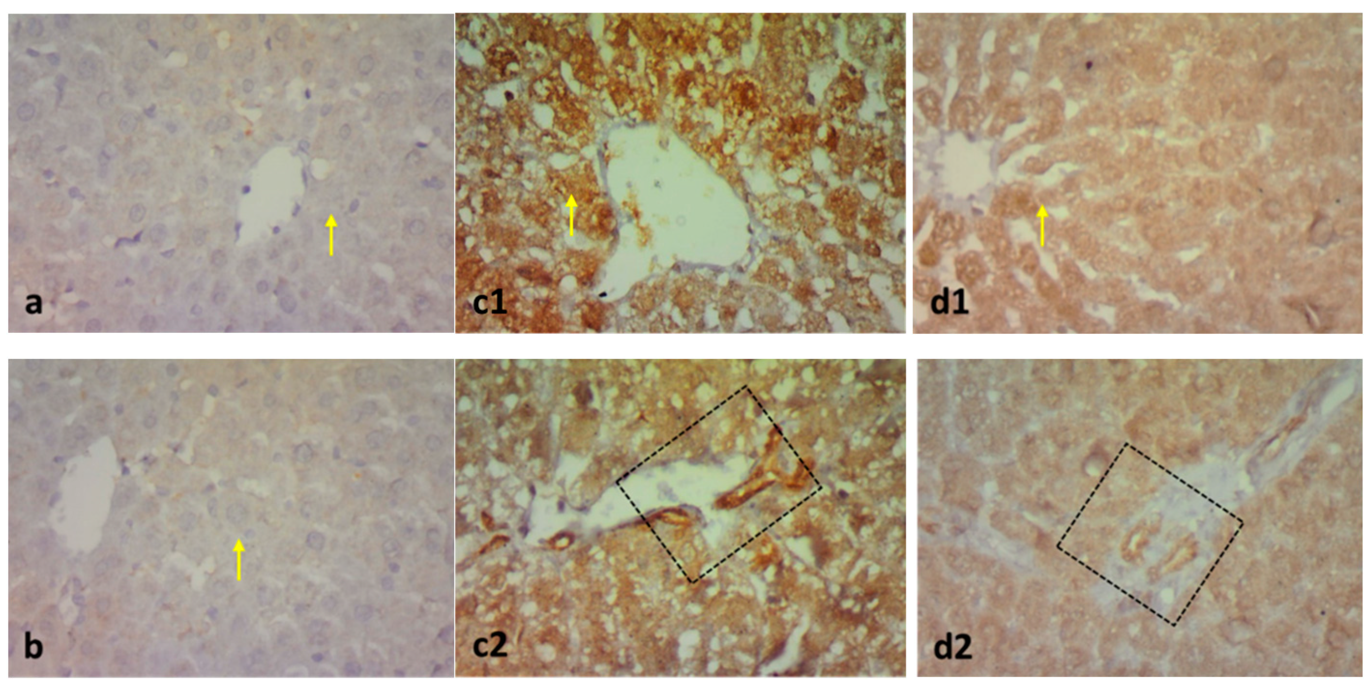 Pharmaceuticals 15 01296 g009a Pharmaceuticals 15 01296 g009a