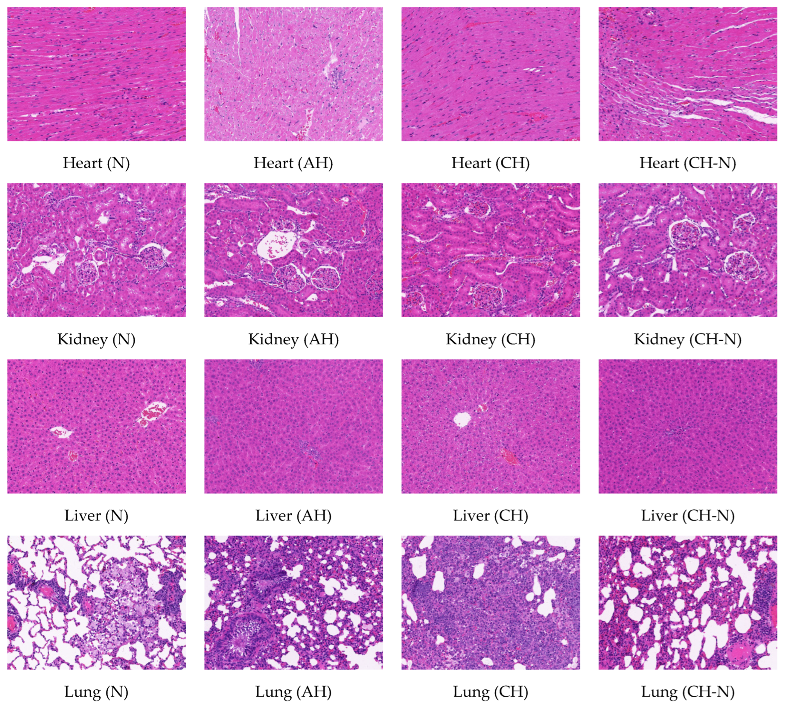 Pharmaceuticals 15 01303 g003