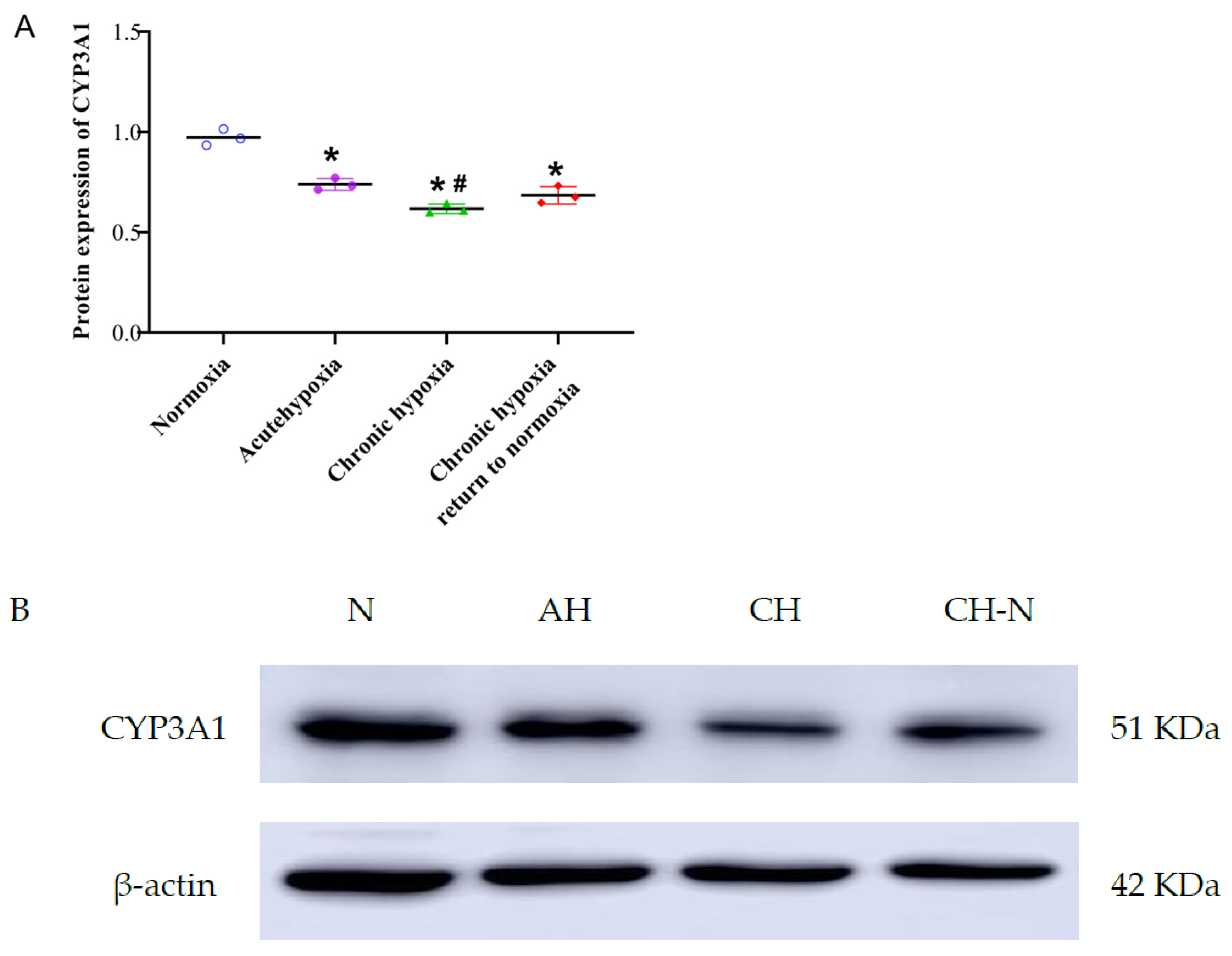 Pharmaceuticals 15 01303 g012