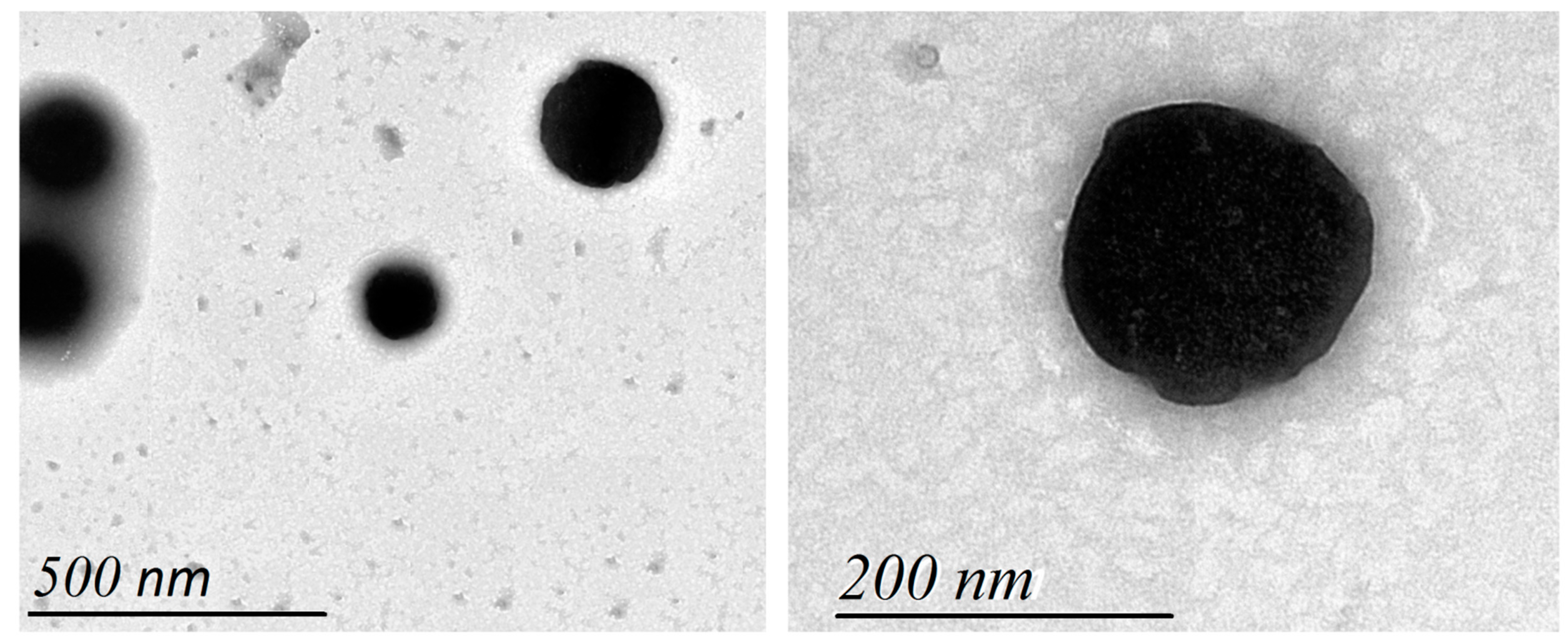 Pharmaceuticals 15 01306 g002 Pharmaceuticals 15 01306 g002