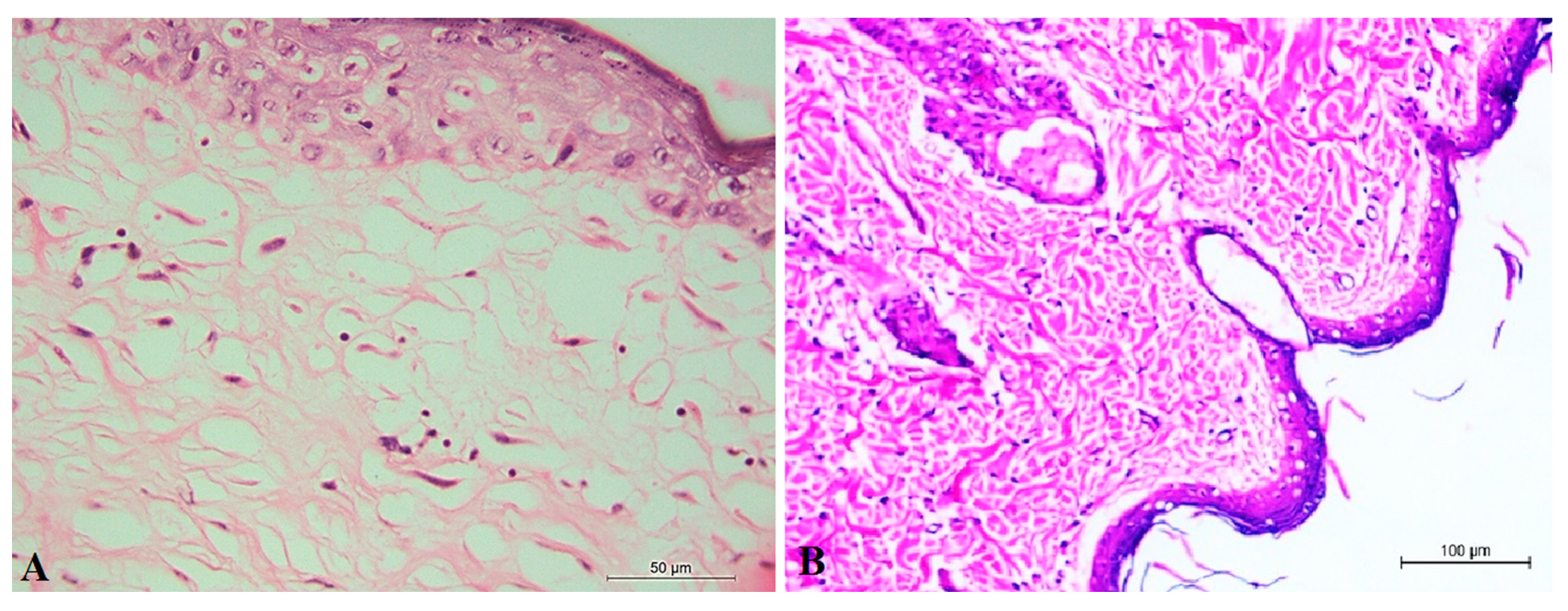 Pharmaceuticals 15 01306 g008 Pharmaceuticals 15 01306 g008