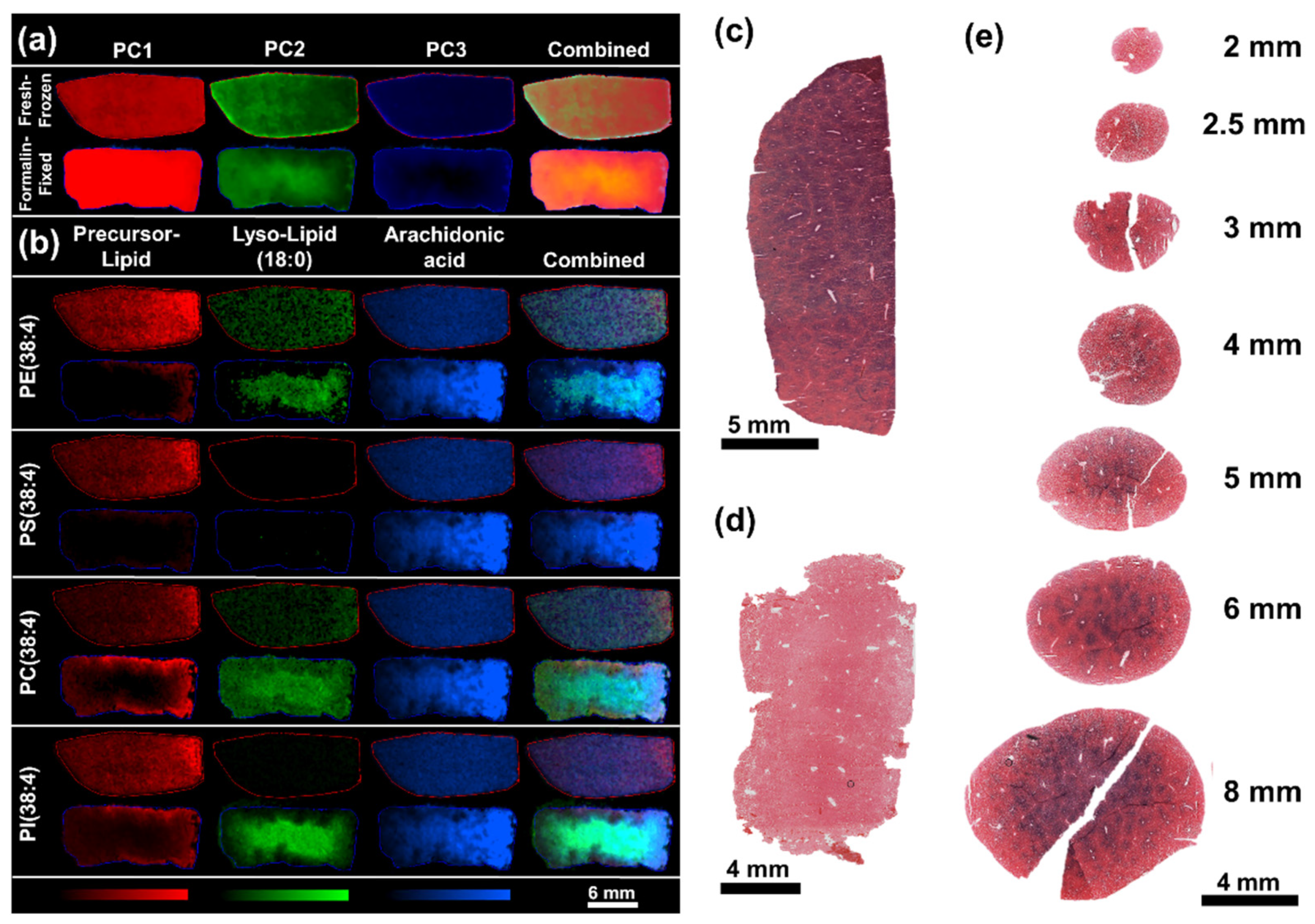 Pharmaceuticals 15 01307 g003