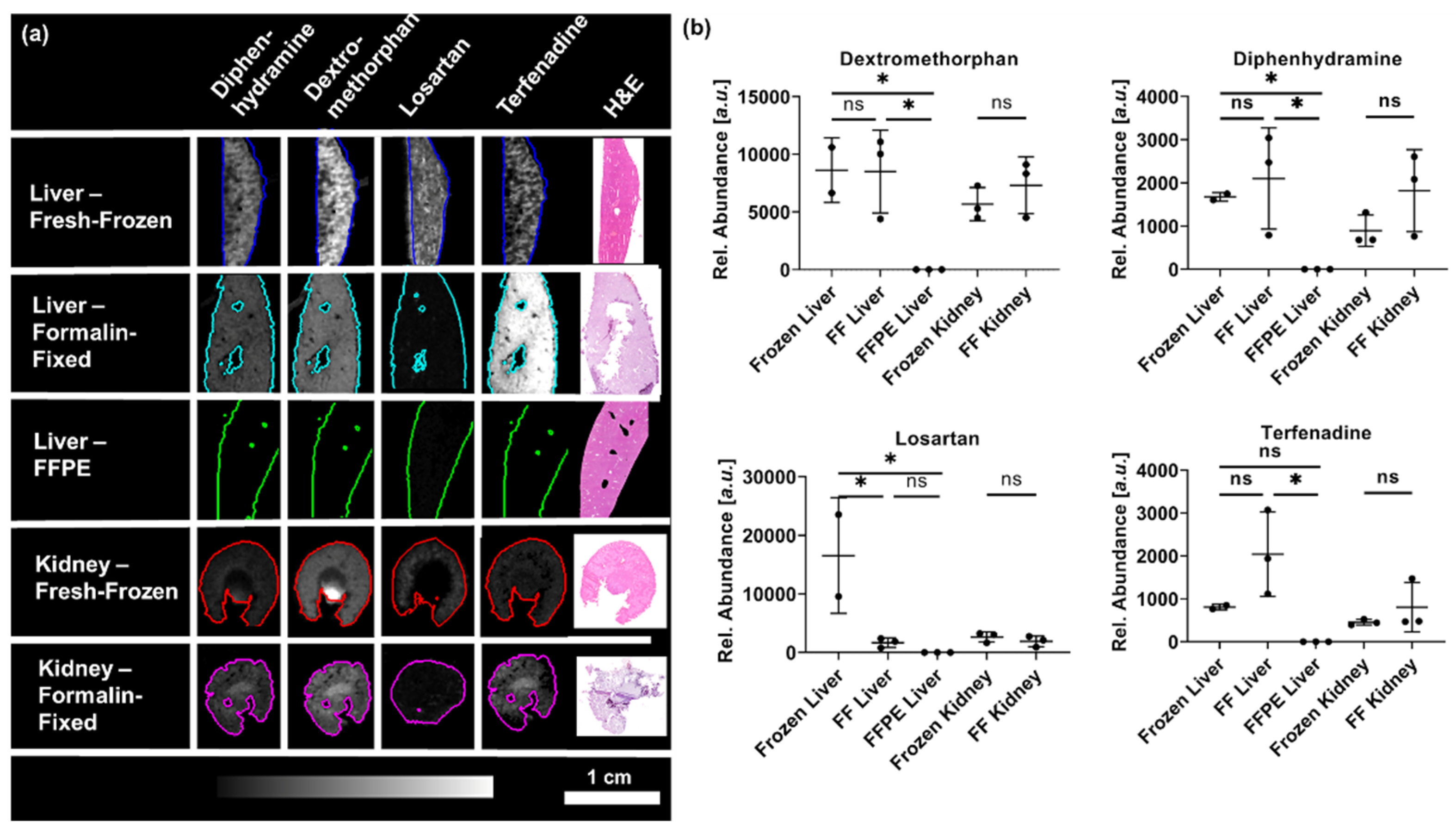Pharmaceuticals 15 01307 g004