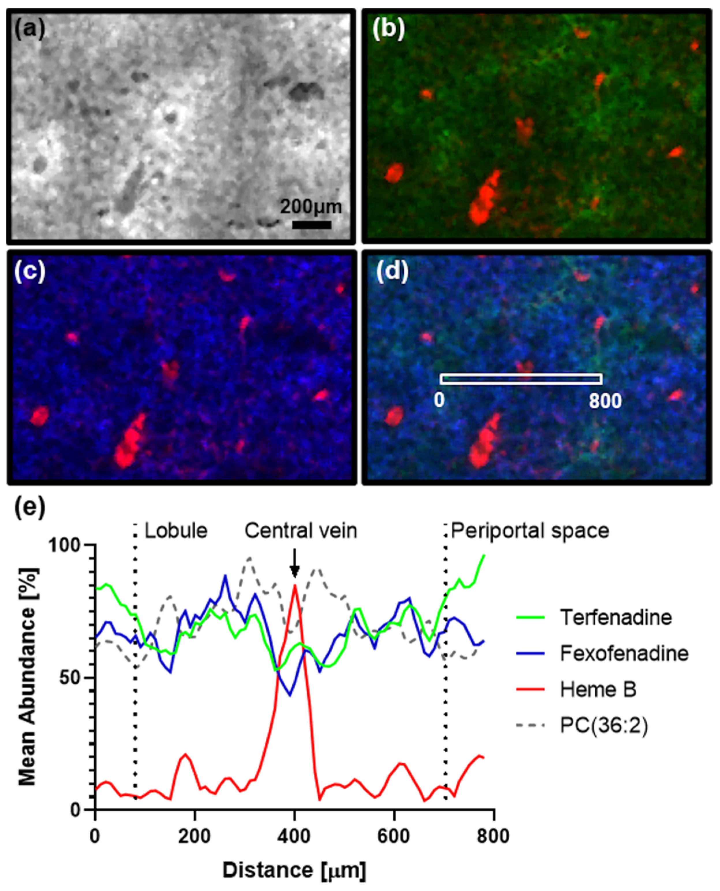 Pharmaceuticals 15 01307 g005