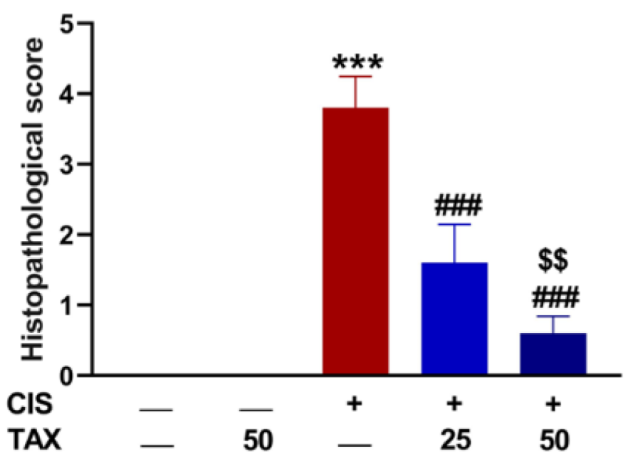 Pharmaceuticals 15 01310 g003