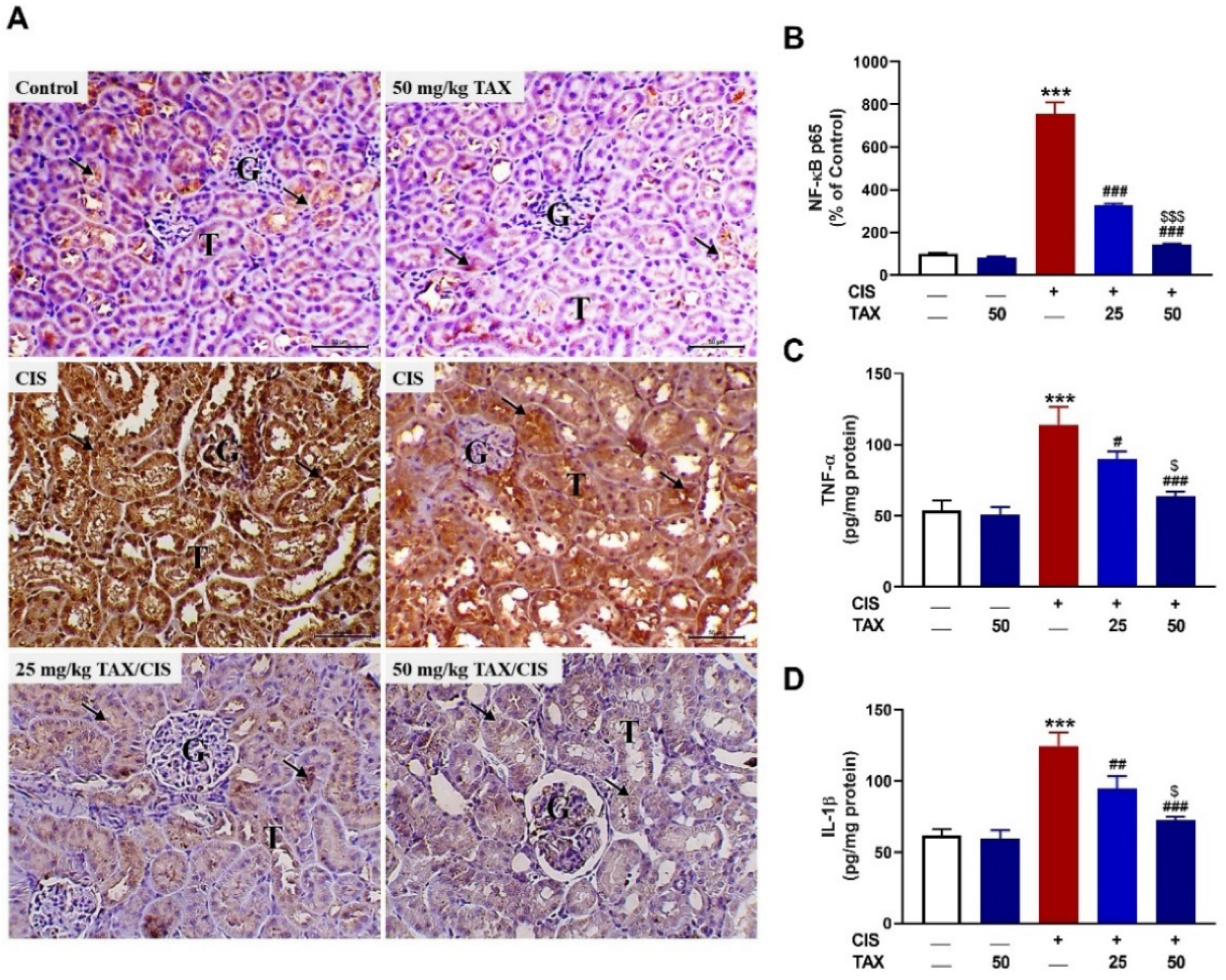 Pharmaceuticals 15 01310 g005