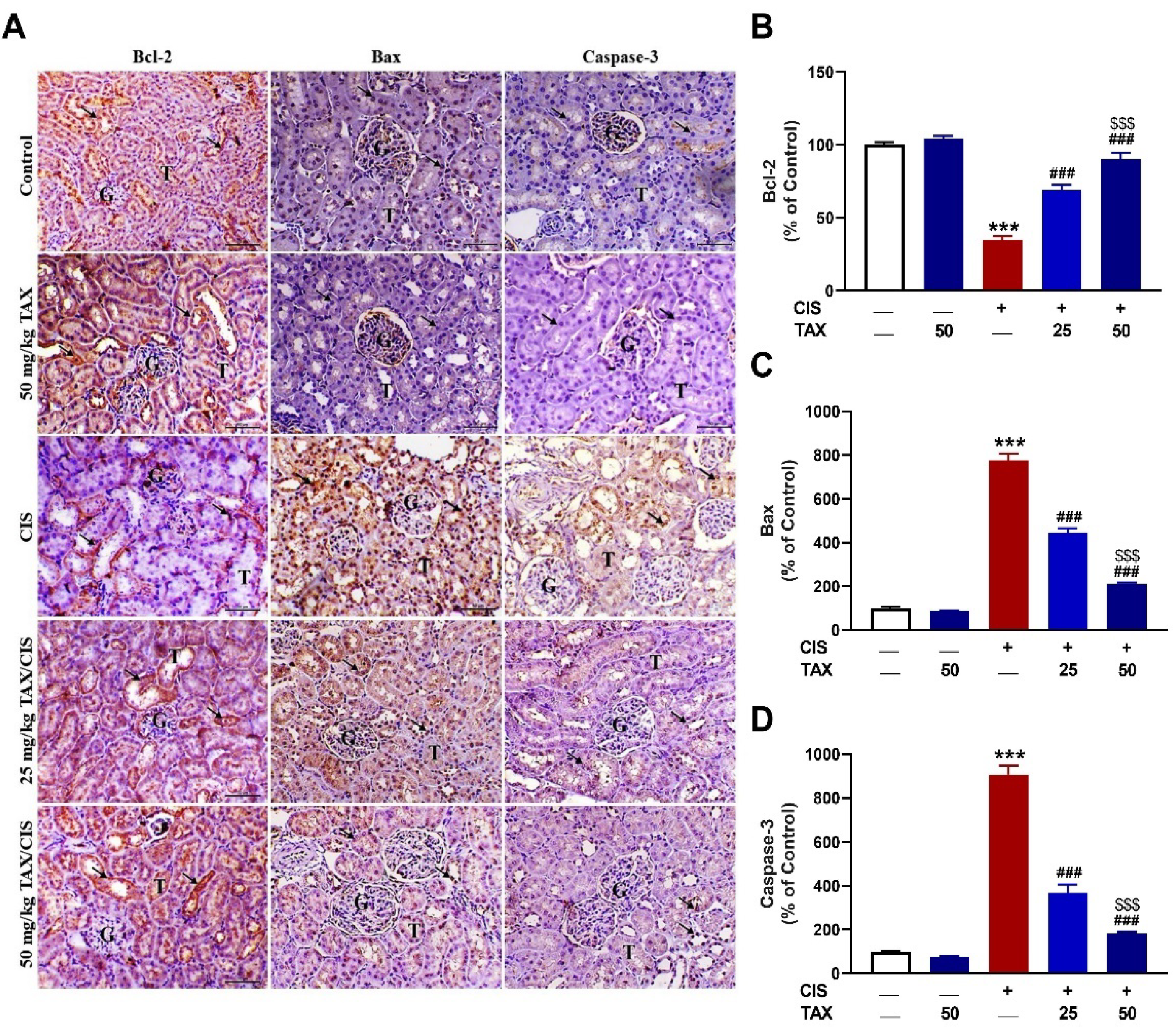 Pharmaceuticals 15 01310 g006