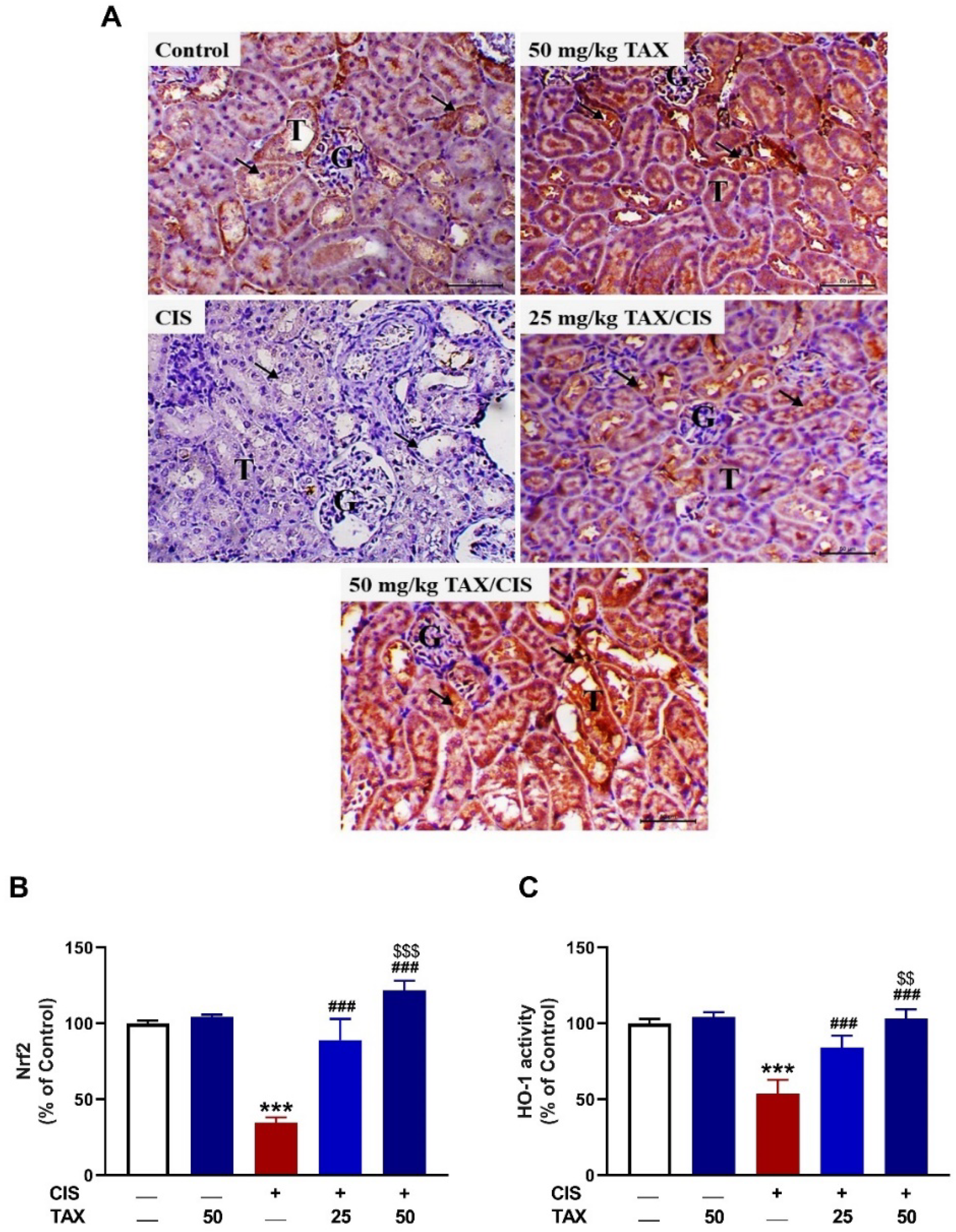 Pharmaceuticals 15 01310 g007