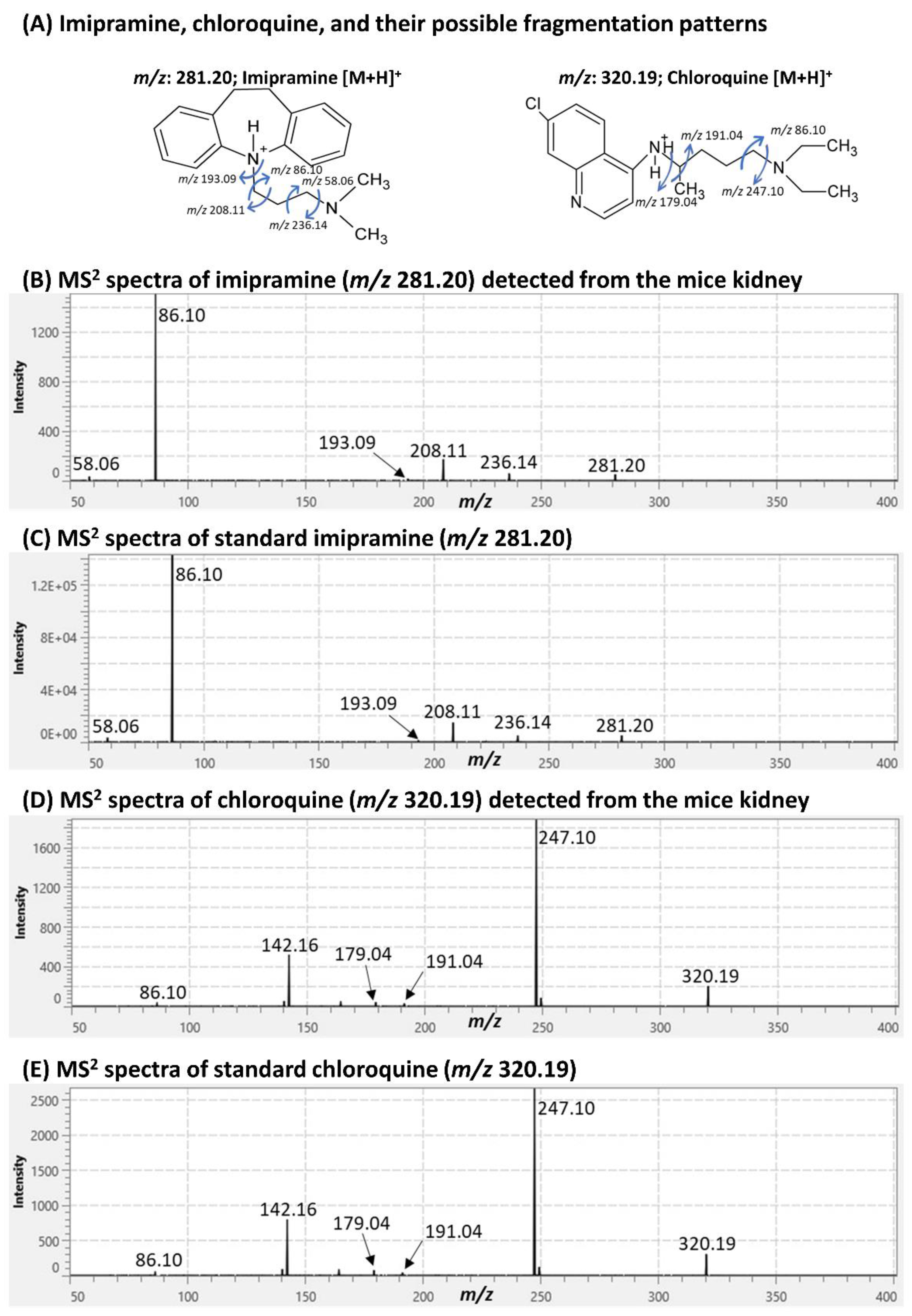 Pharmaceuticals 15 01314 g002