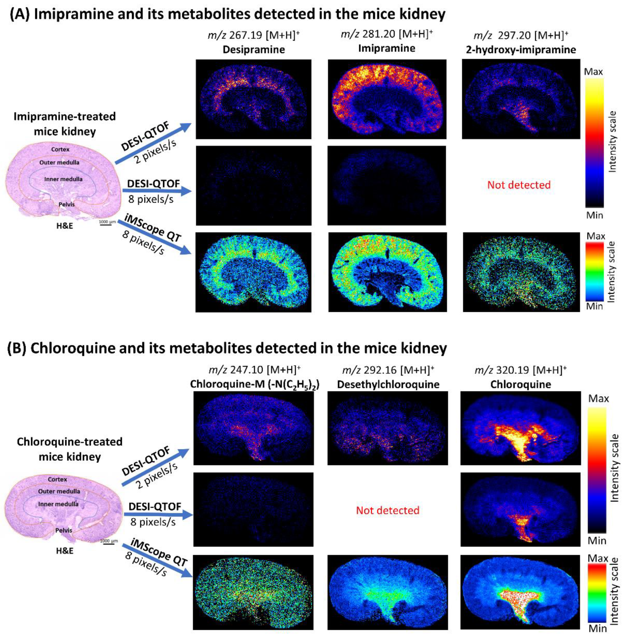 Pharmaceuticals 15 01314 g003