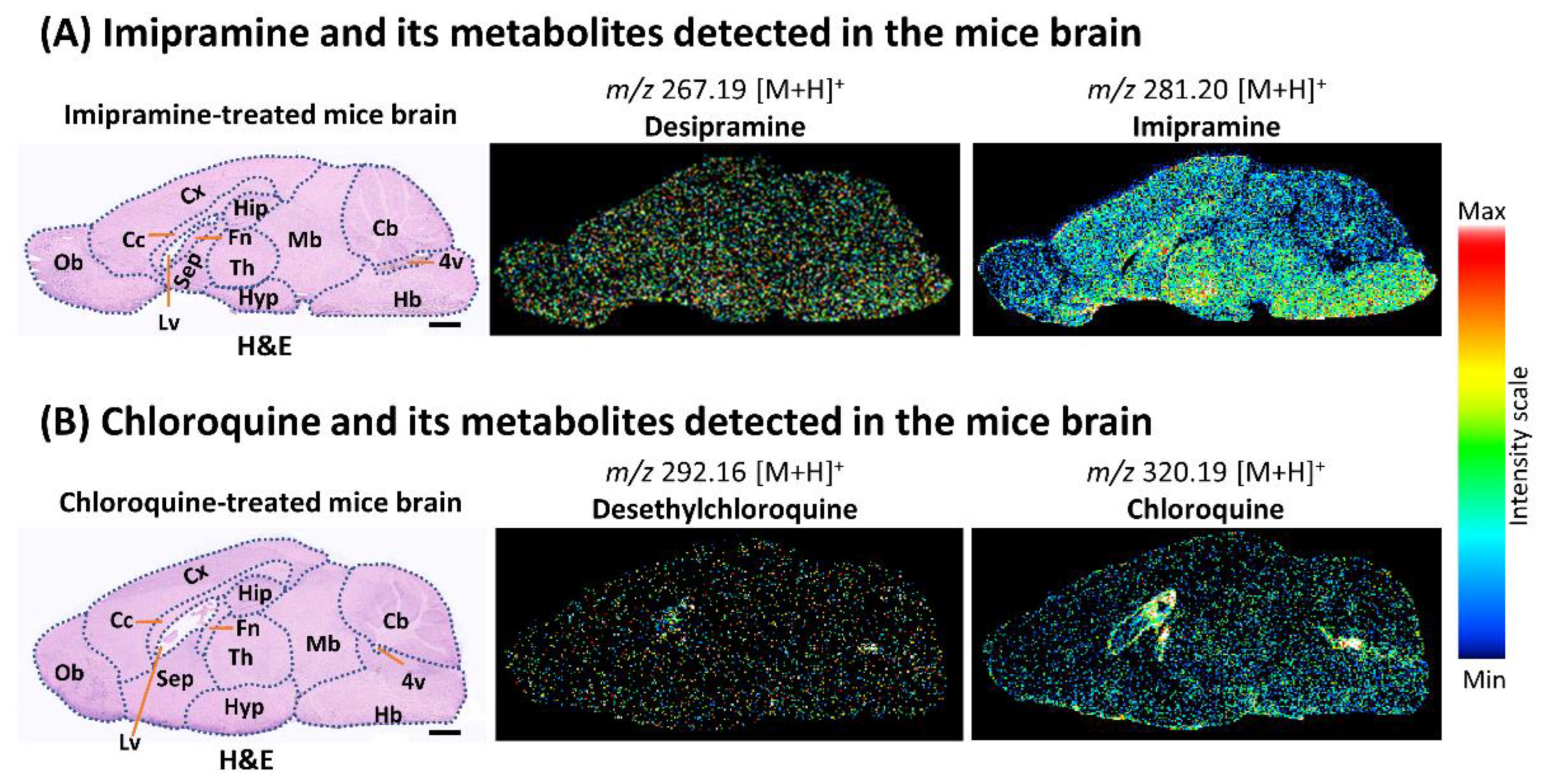 Pharmaceuticals 15 01314 g004