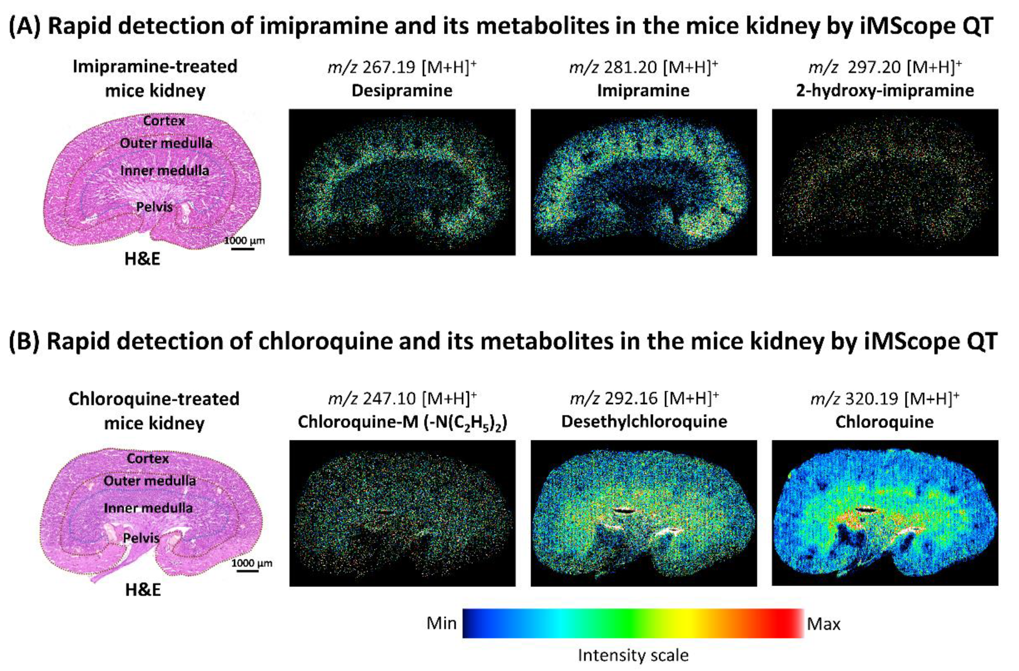 Pharmaceuticals 15 01314 g005
