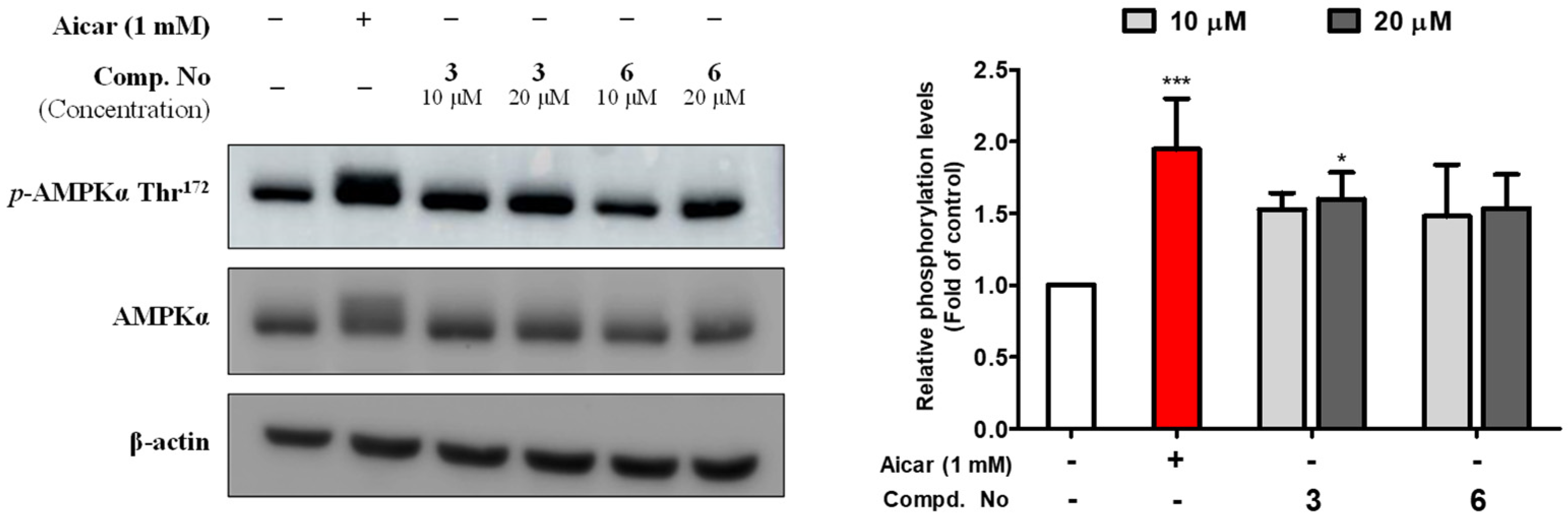 Pharmaceuticals 15 01315 g005 Pharmaceuticals 15 01315 g005