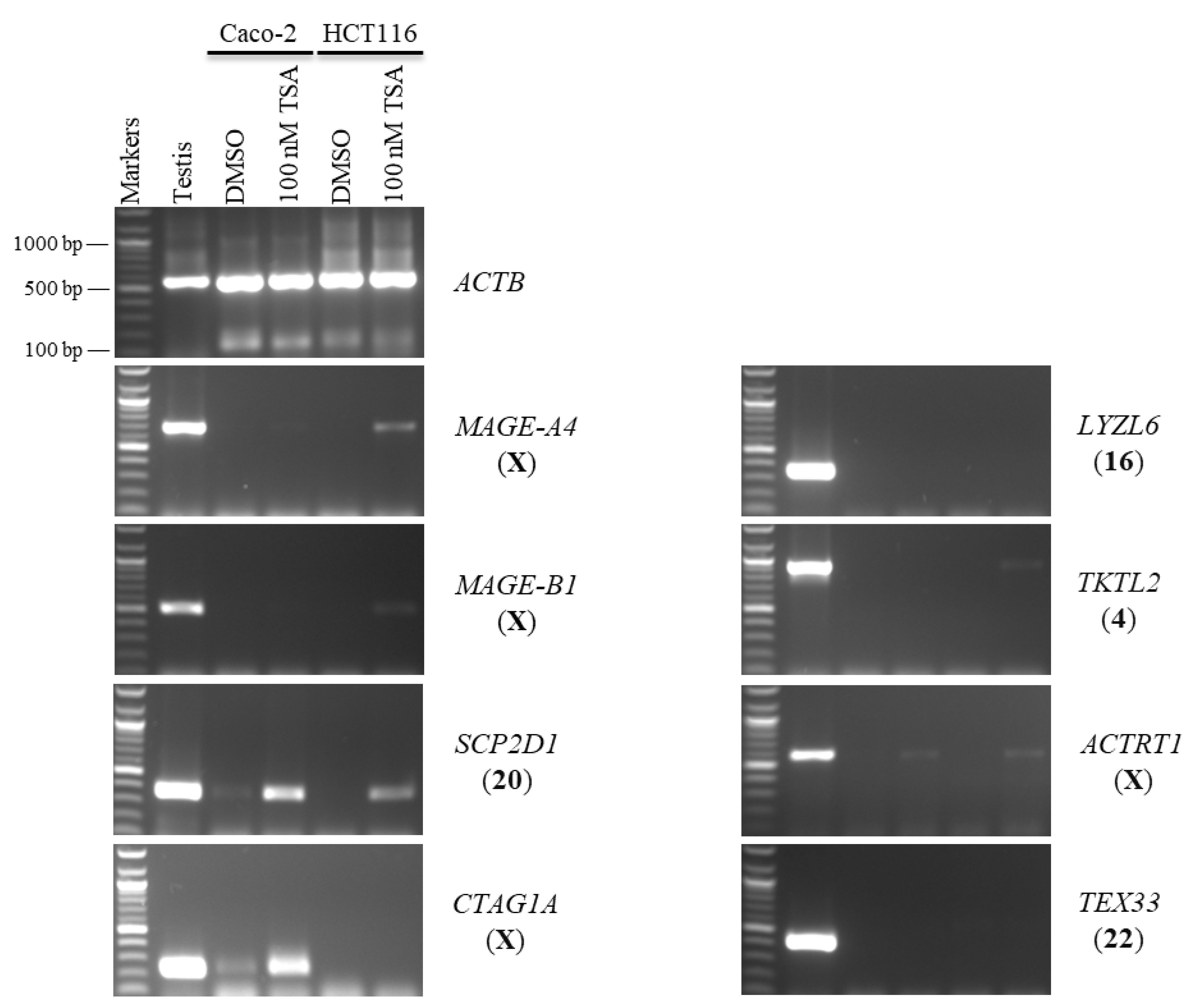 Pharmaceuticals 15 01319 g003 Pharmaceuticals 15 01319 g003