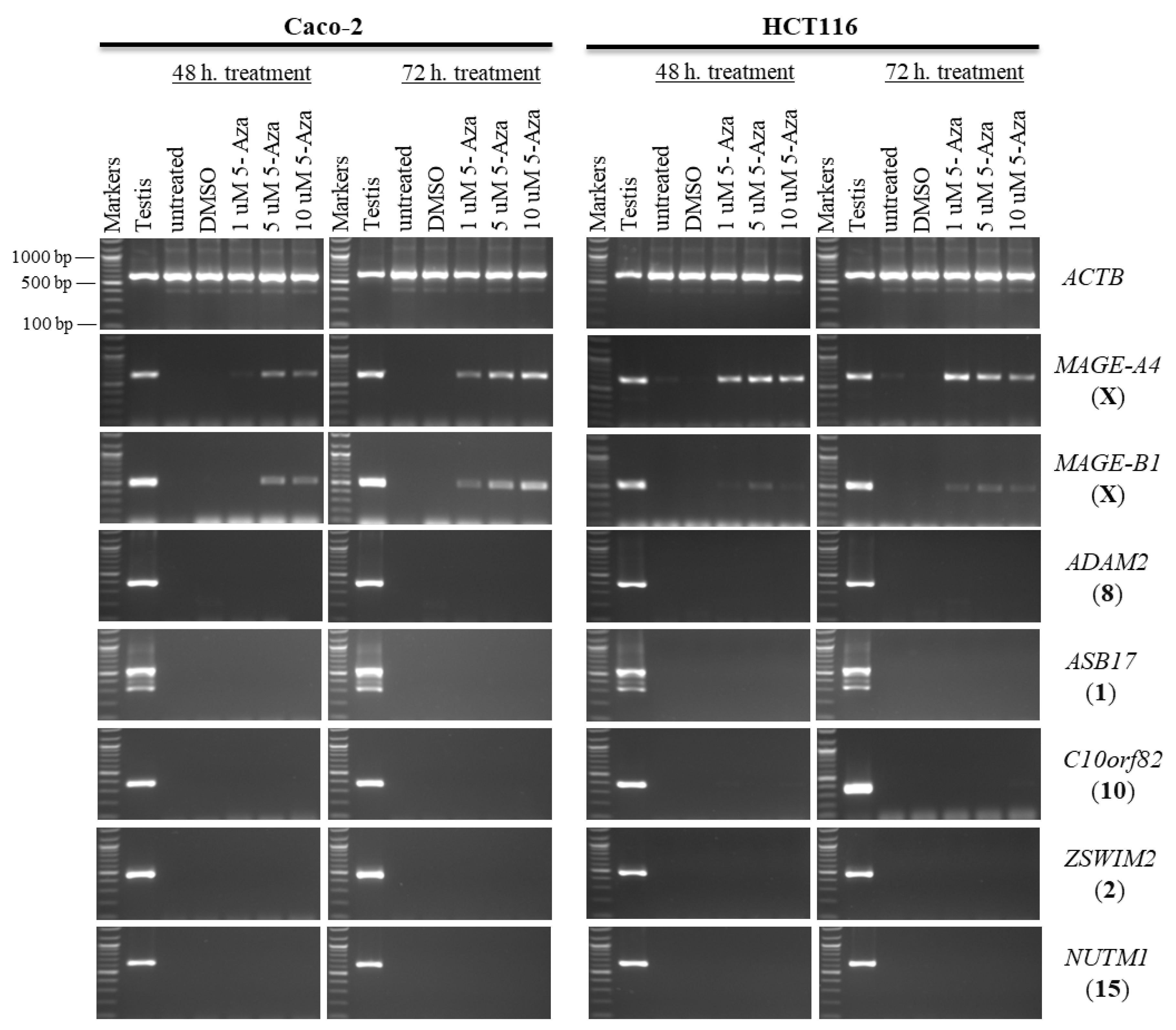 Pharmaceuticals 15 01319 g006 Pharmaceuticals 15 01319 g006