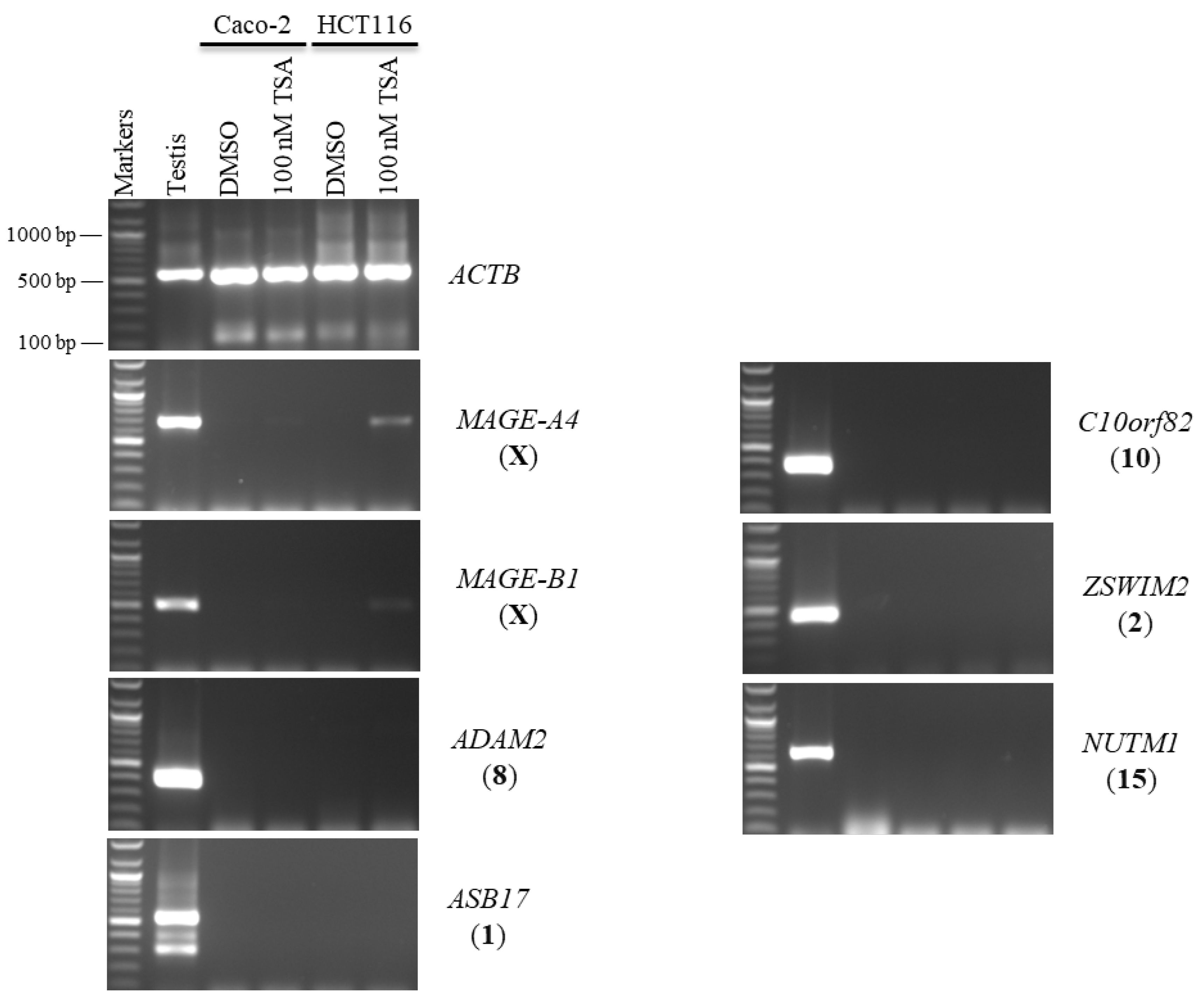 Pharmaceuticals 15 01319 g007 Pharmaceuticals 15 01319 g007