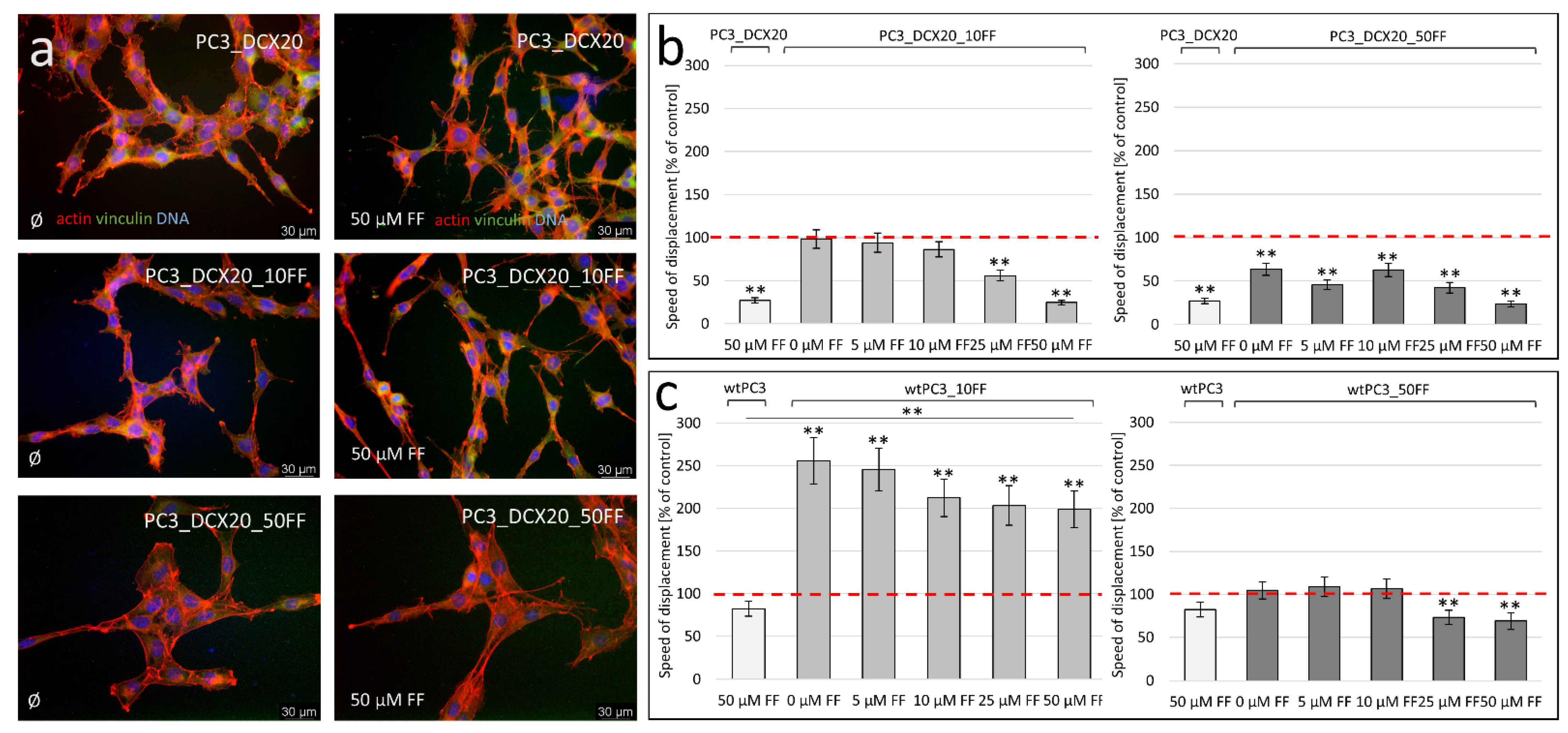 Pharmaceuticals 15 01320 g006 Pharmaceuticals 15 01320 g006