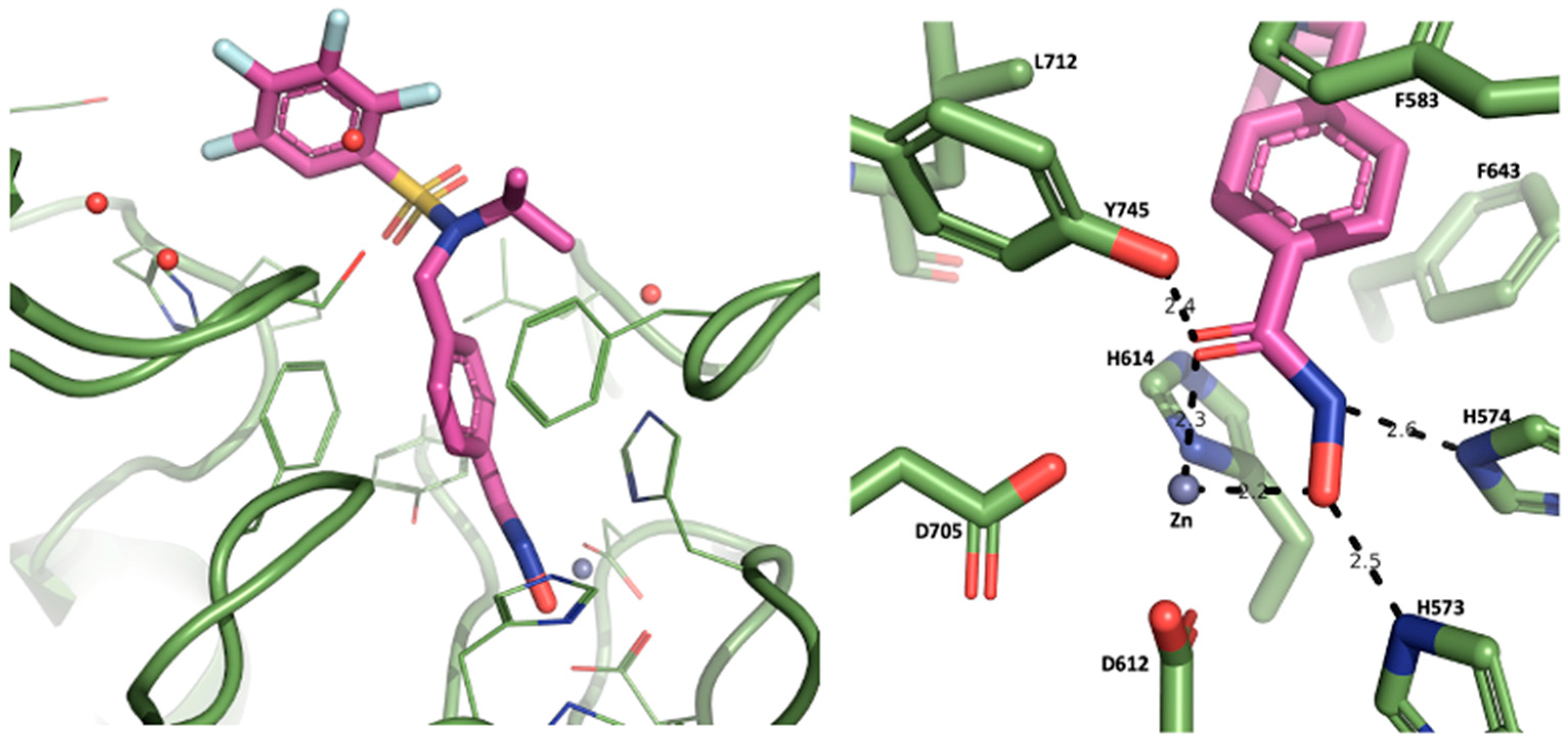 Pharmaceuticals 15 01321 g001 Pharmaceuticals 15 01321 g001
