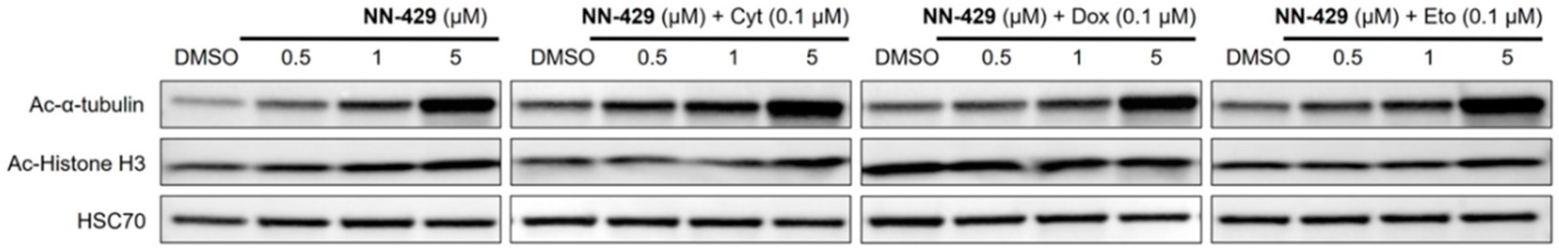 Pharmaceuticals 15 01321 g009 Pharmaceuticals 15 01321 g009