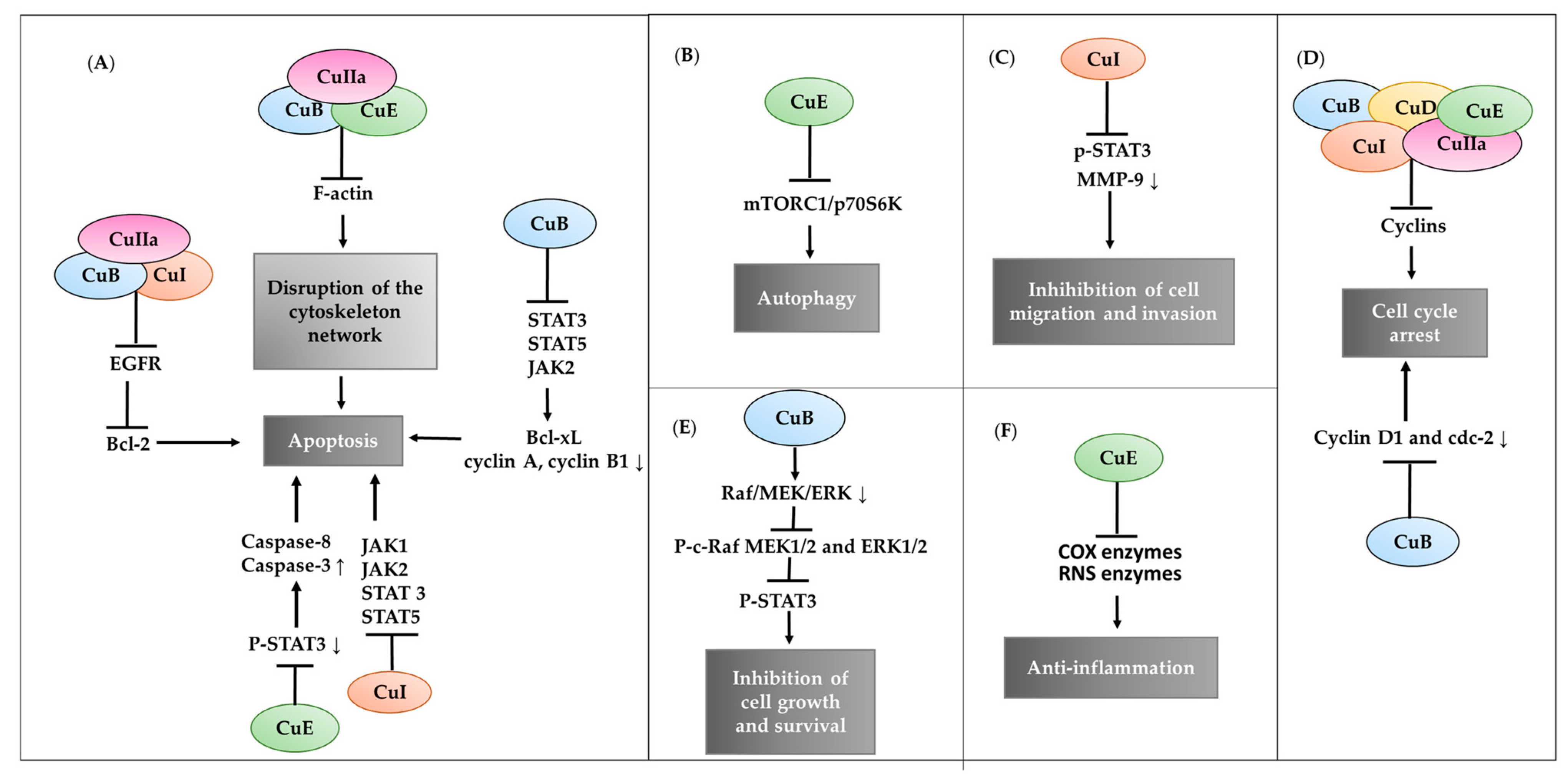 Pharmaceuticals 15 01325 g003
