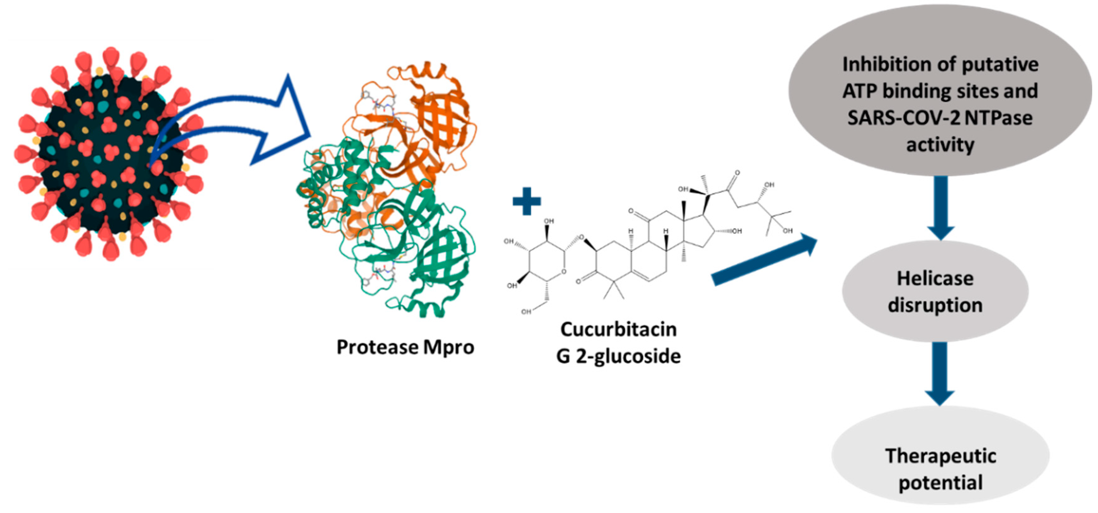 Pharmaceuticals 15 01325 g004