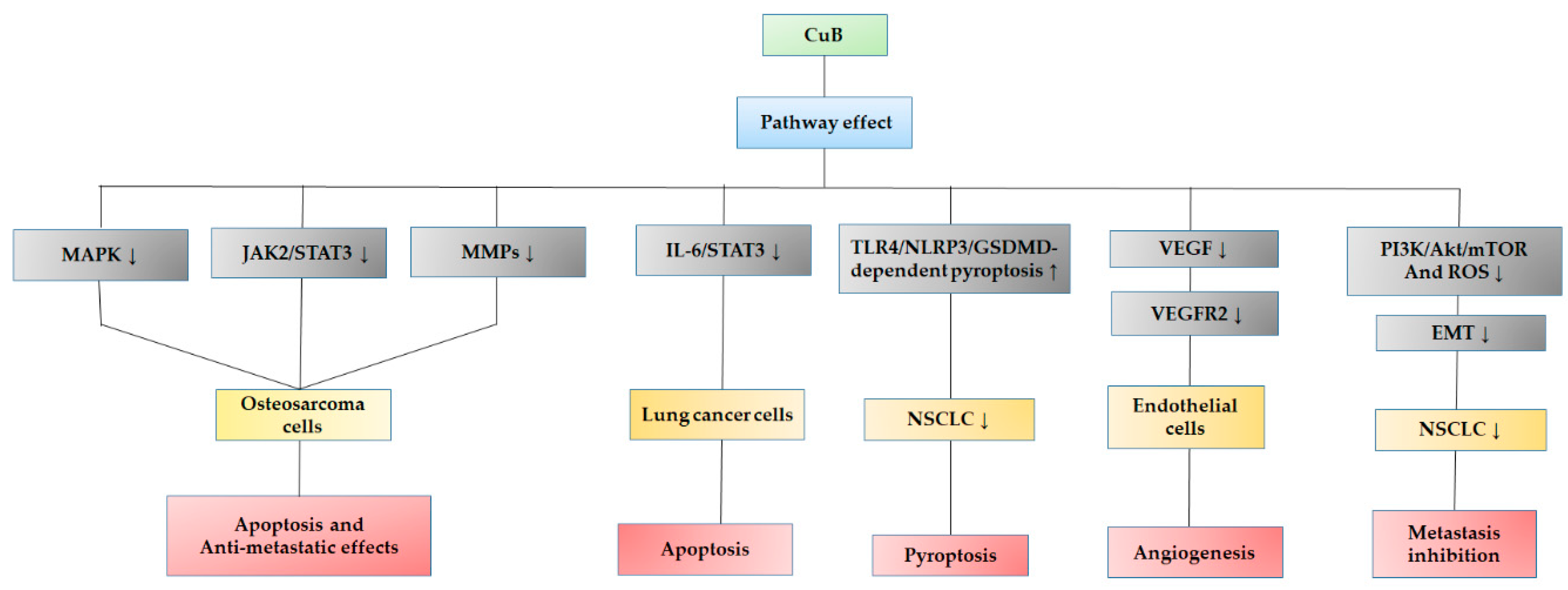 Pharmaceuticals 15 01325 g005