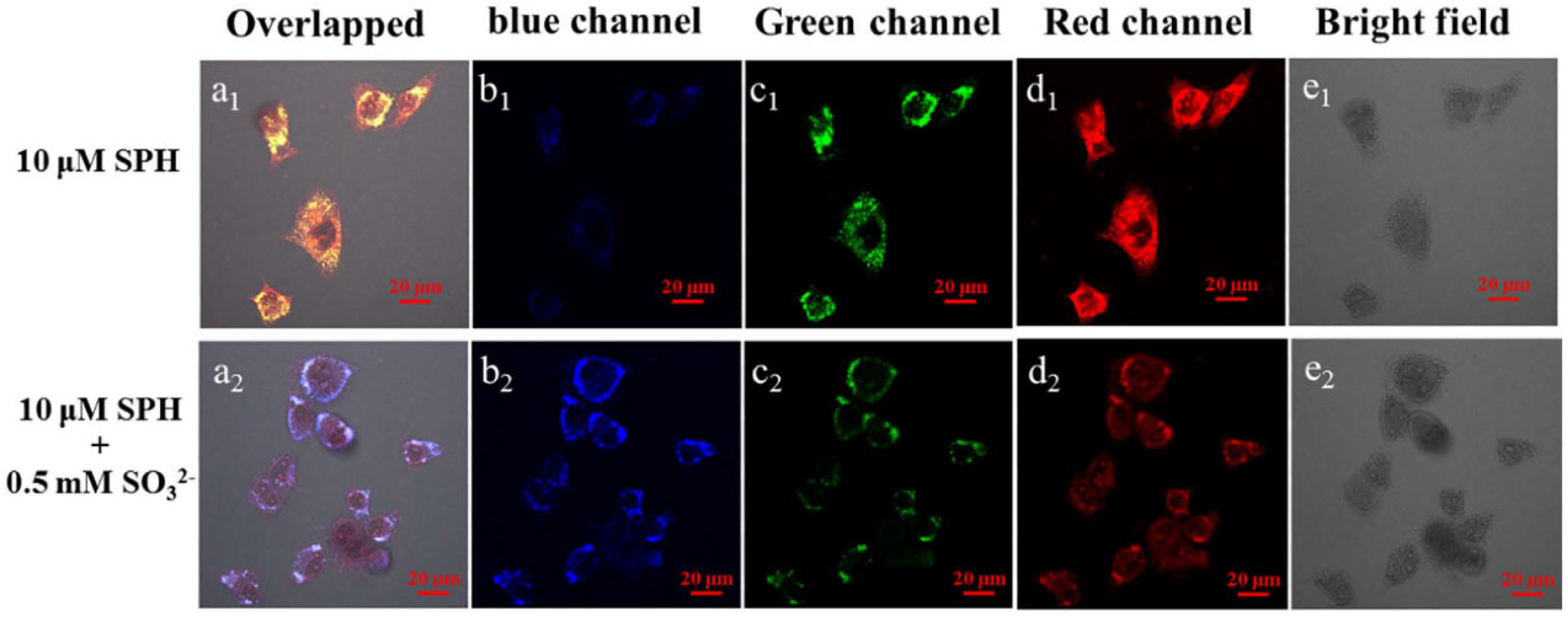 Pharmaceuticals 15 01326 g001 Pharmaceuticals 15 01326 g001