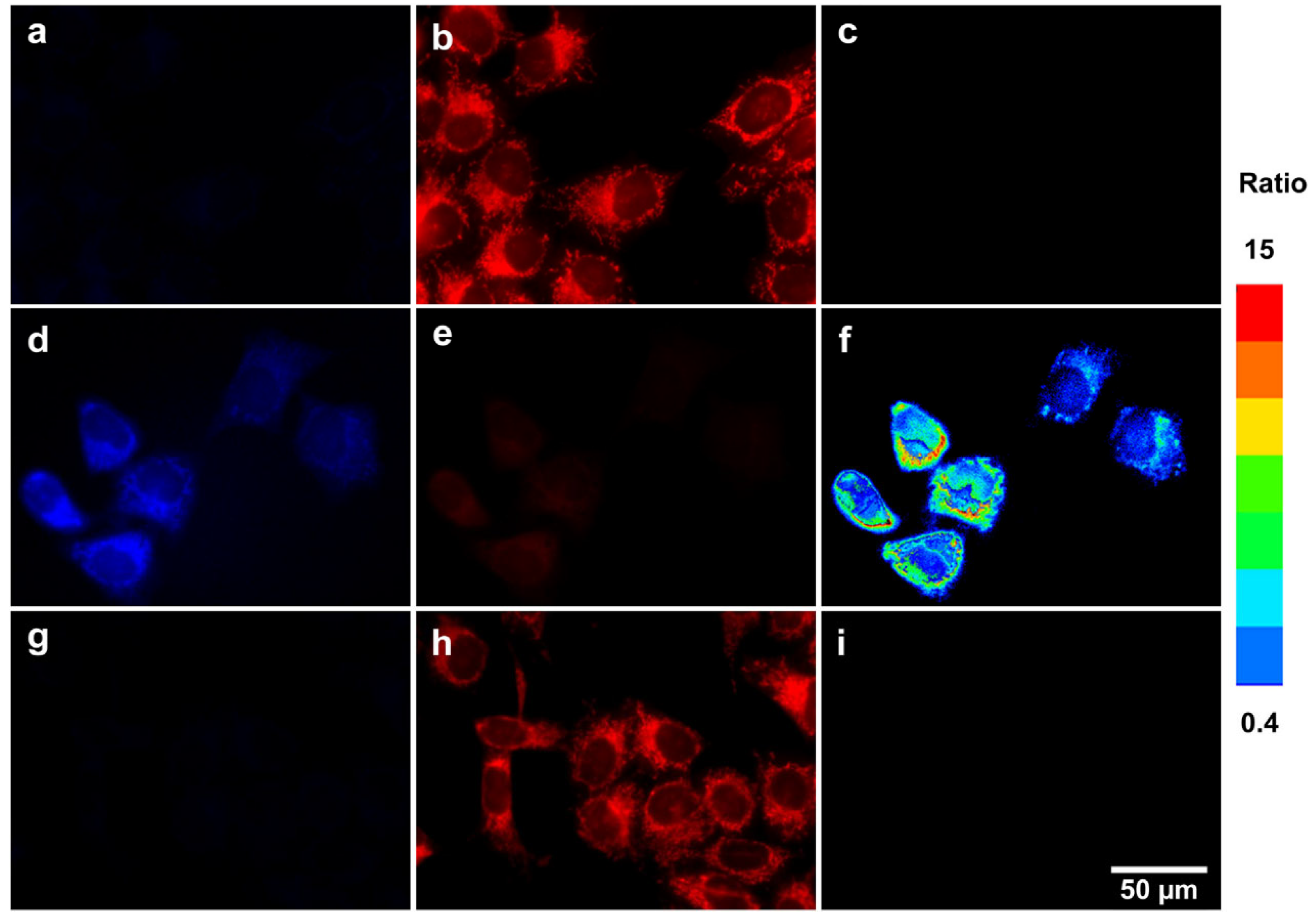 Pharmaceuticals 15 01326 g002 Pharmaceuticals 15 01326 g002