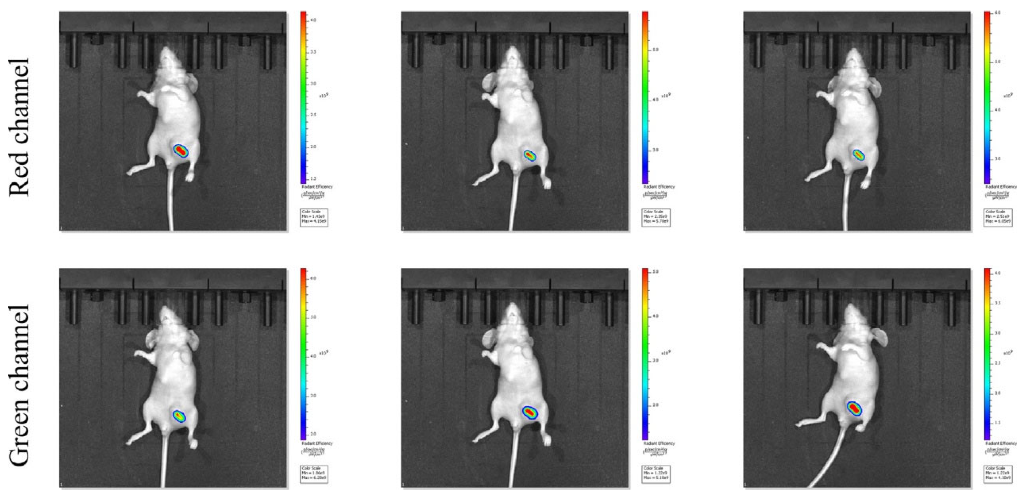 Pharmaceuticals 15 01326 g003 Pharmaceuticals 15 01326 g003