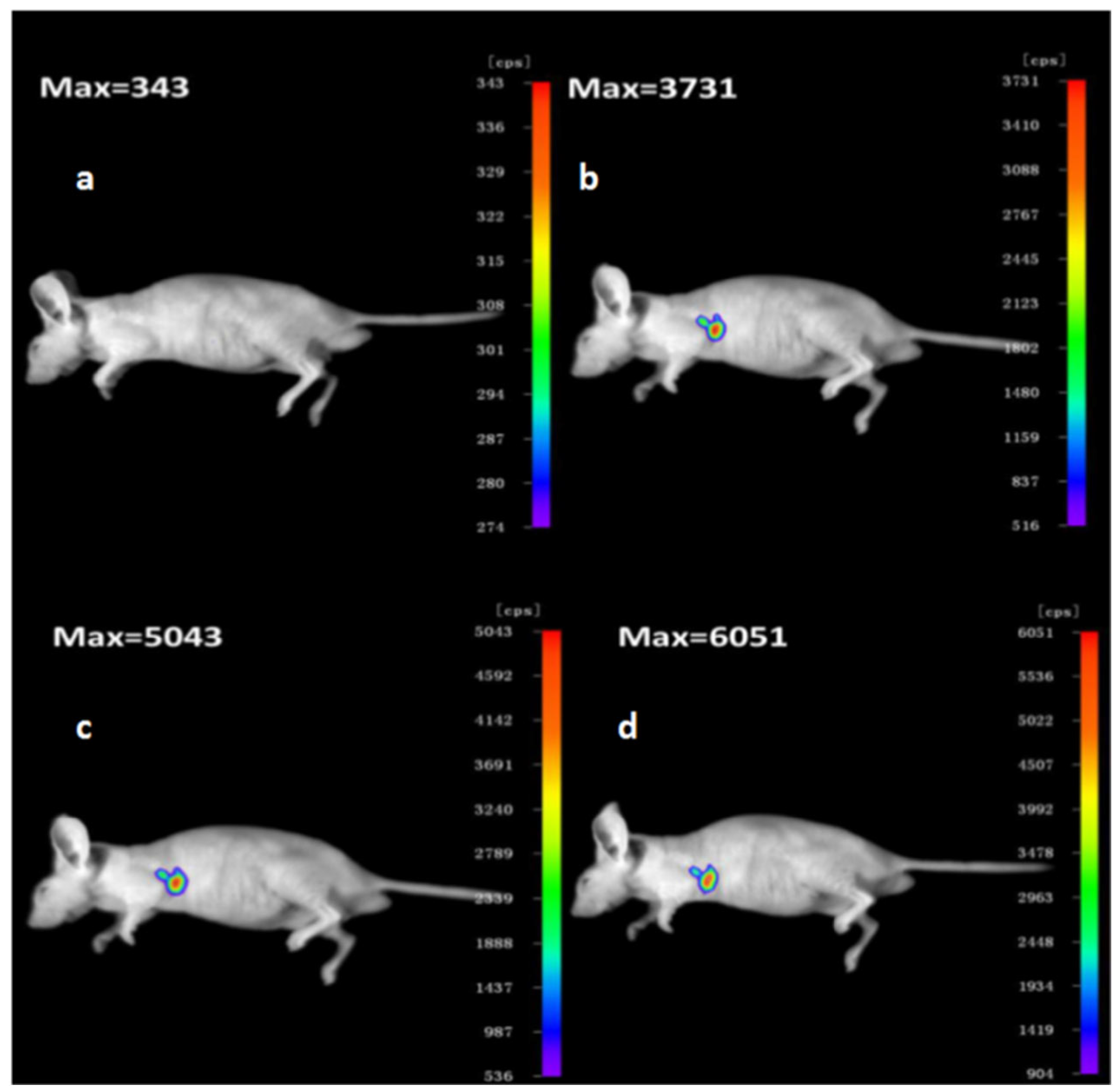 Pharmaceuticals 15 01326 g005 Pharmaceuticals 15 01326 g005