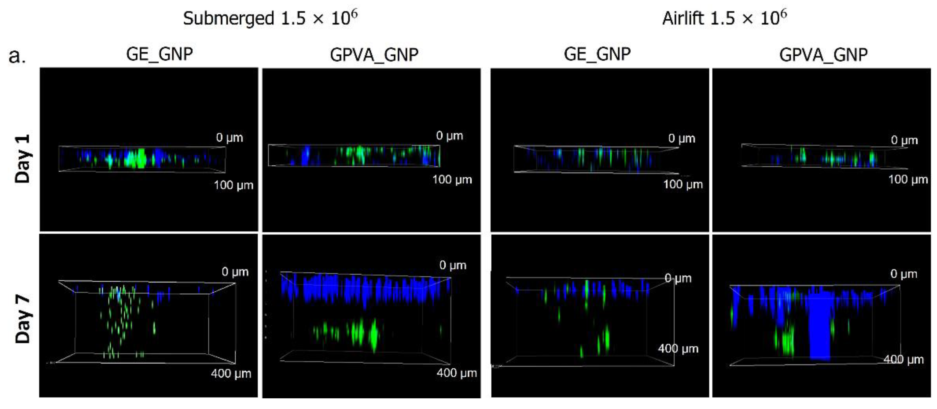 Pharmaceuticals 15 01328 g004a Pharmaceuticals 15 01328 g004a