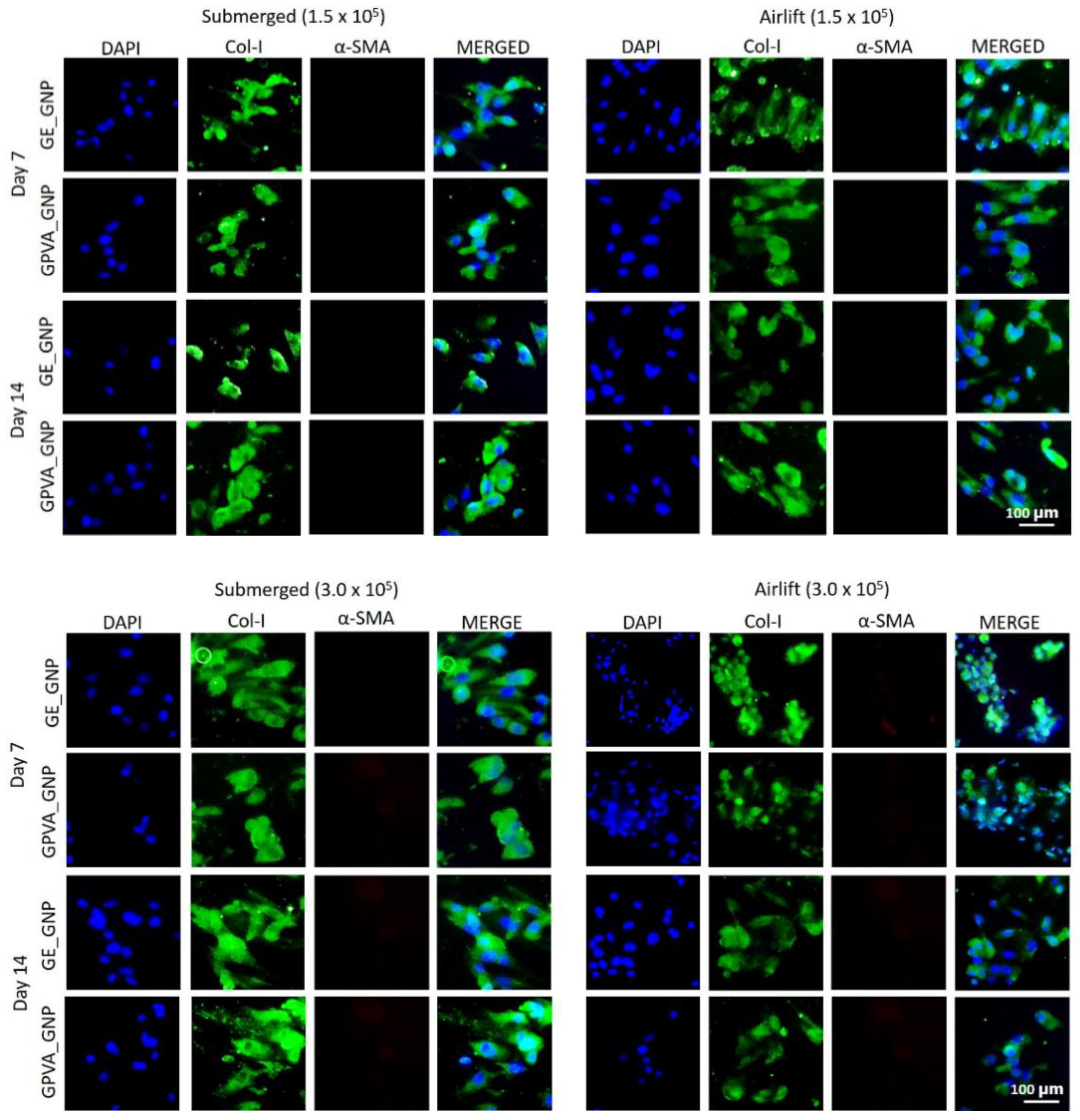 Pharmaceuticals 15 01328 g005 Pharmaceuticals 15 01328 g005