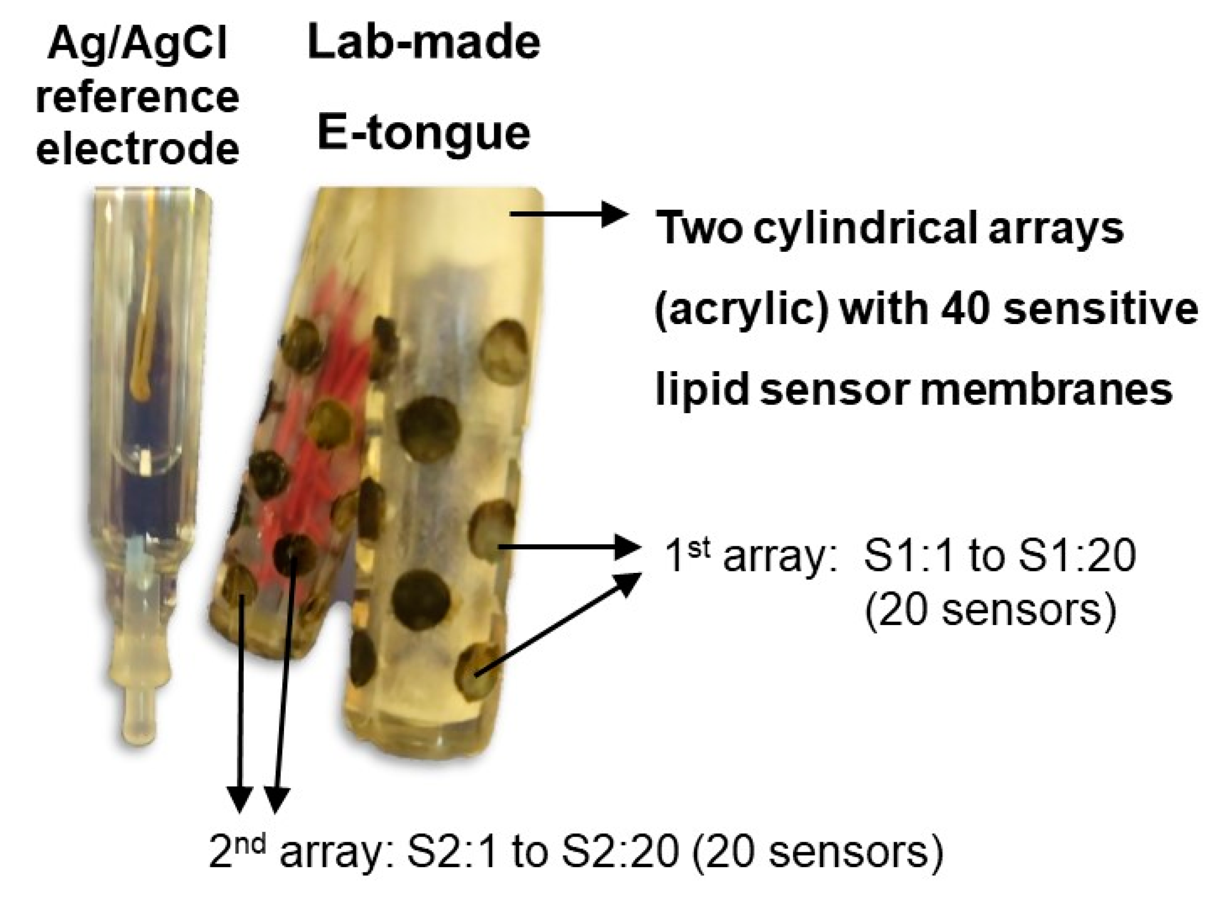 Pharmaceuticals 15 01331 g003 Pharmaceuticals 15 01331 g003