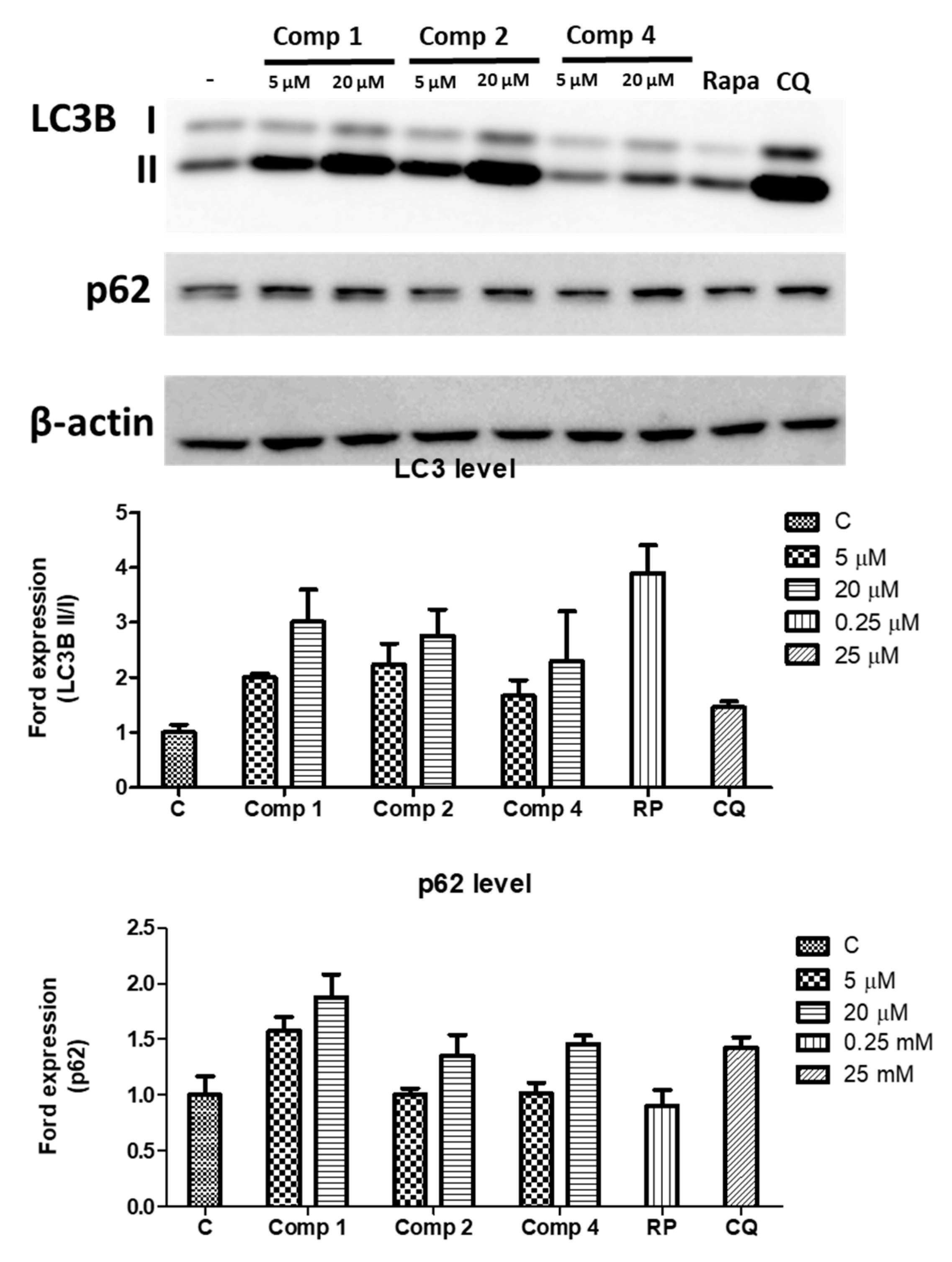 Pharmaceuticals 15 01332 g005