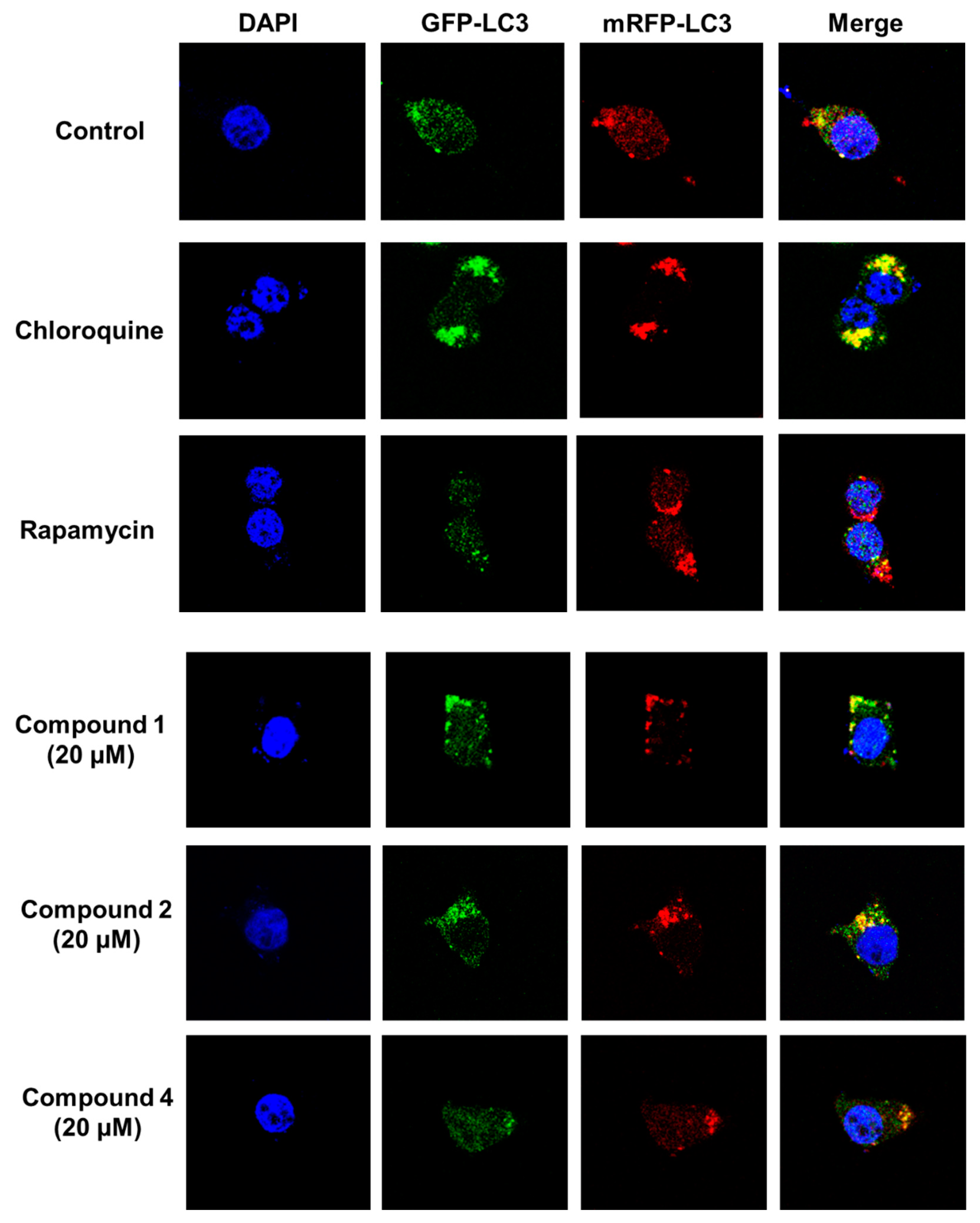 Pharmaceuticals 15 01332 g006
