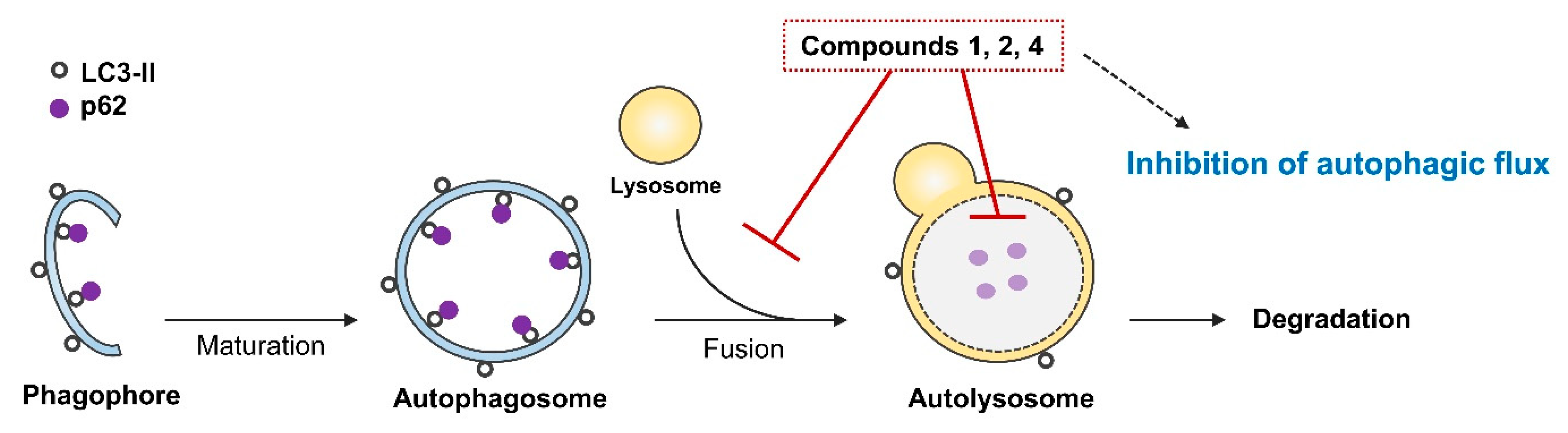 Pharmaceuticals 15 01332 g007