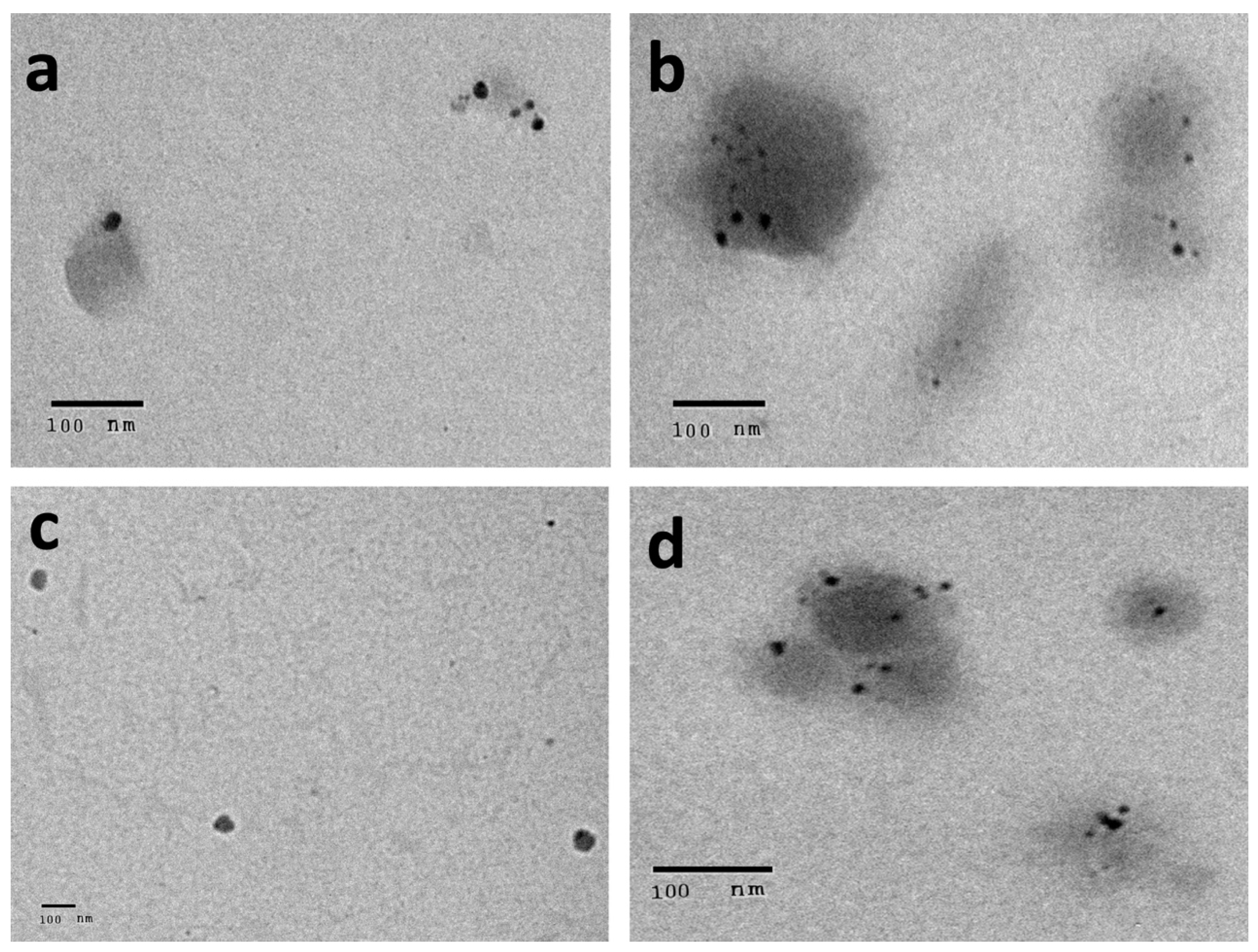 Pharmaceuticals 15 01334 g004 Pharmaceuticals 15 01334 g004