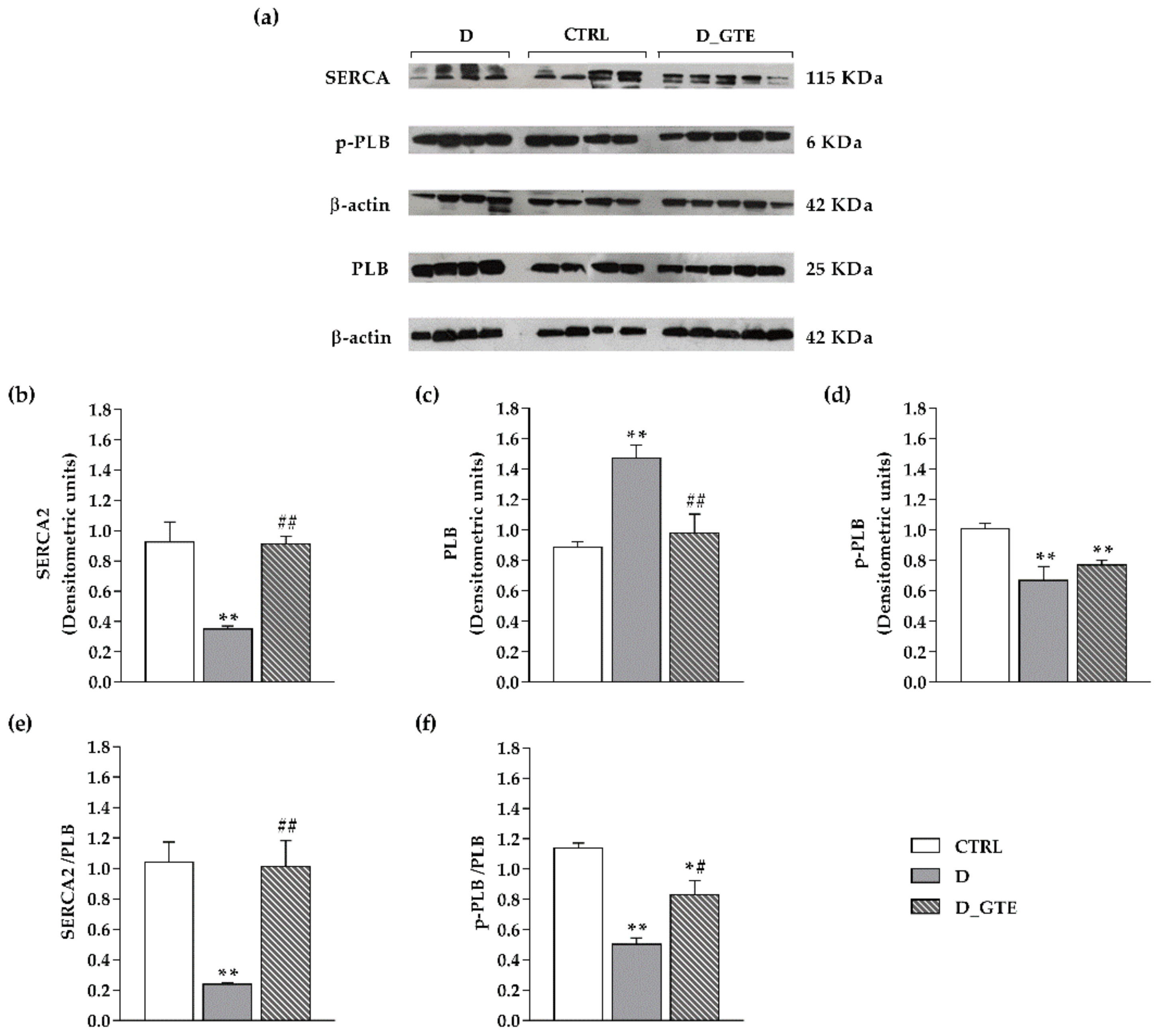 Pharmaceuticals 15 01337 g005 Pharmaceuticals 15 01337 g005