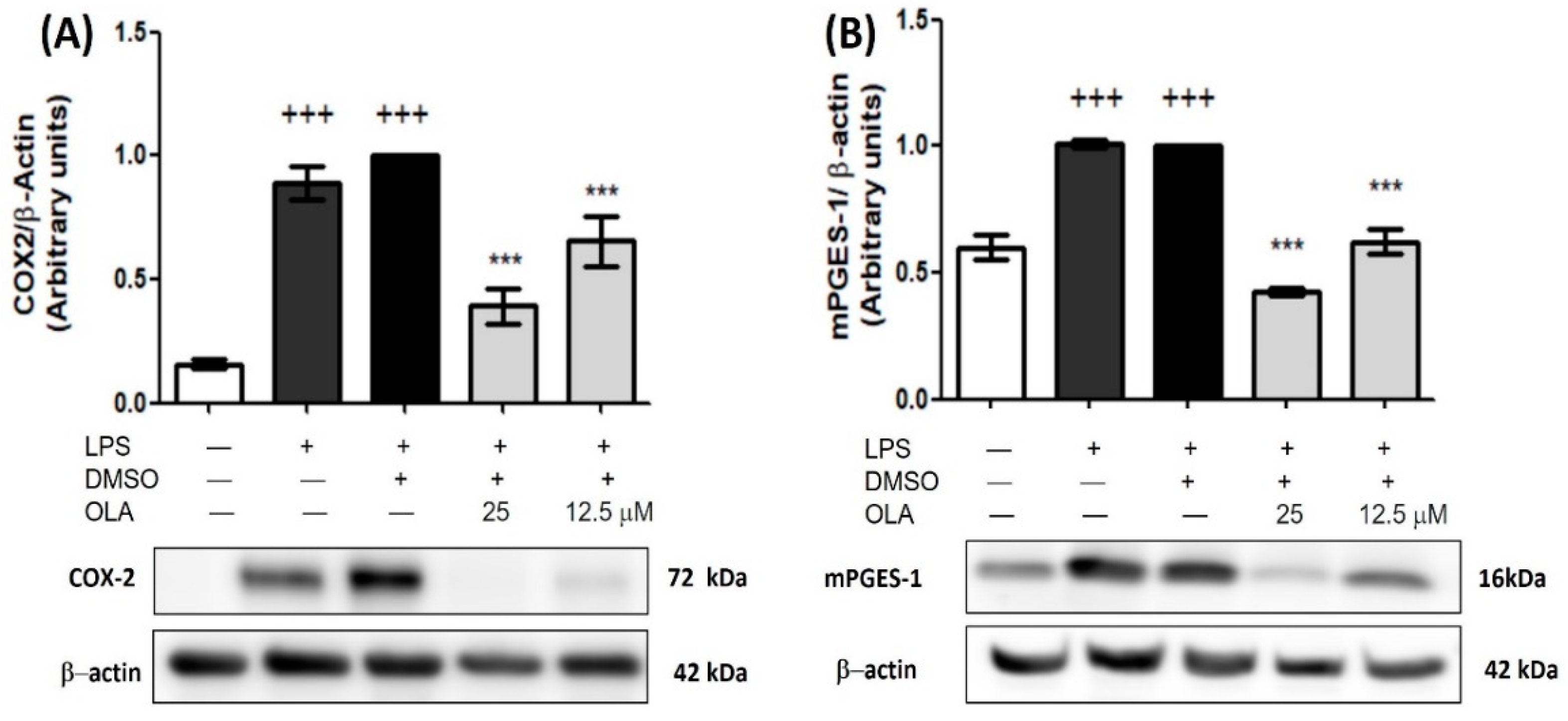 Pharmaceuticals 15 01338 g004 Pharmaceuticals 15 01338 g004