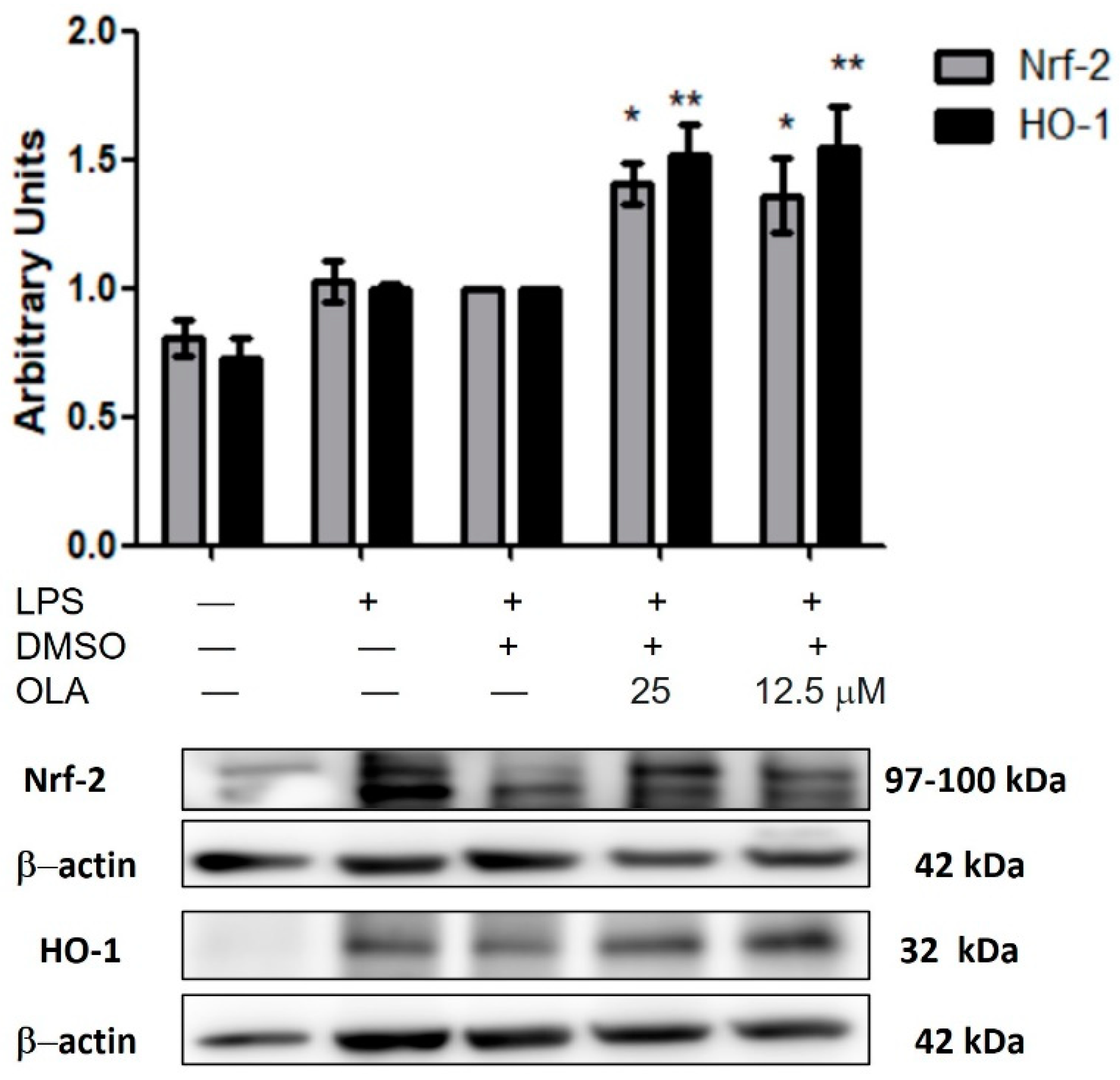 Pharmaceuticals 15 01338 g005 Pharmaceuticals 15 01338 g005
