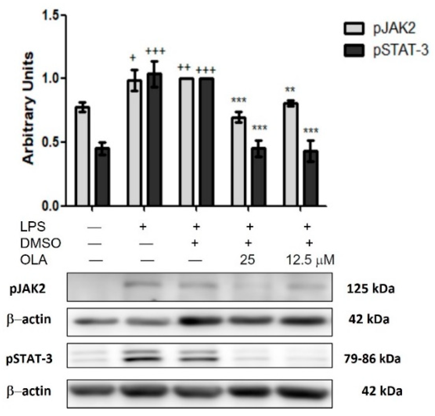Pharmaceuticals 15 01338 g007 Pharmaceuticals 15 01338 g007