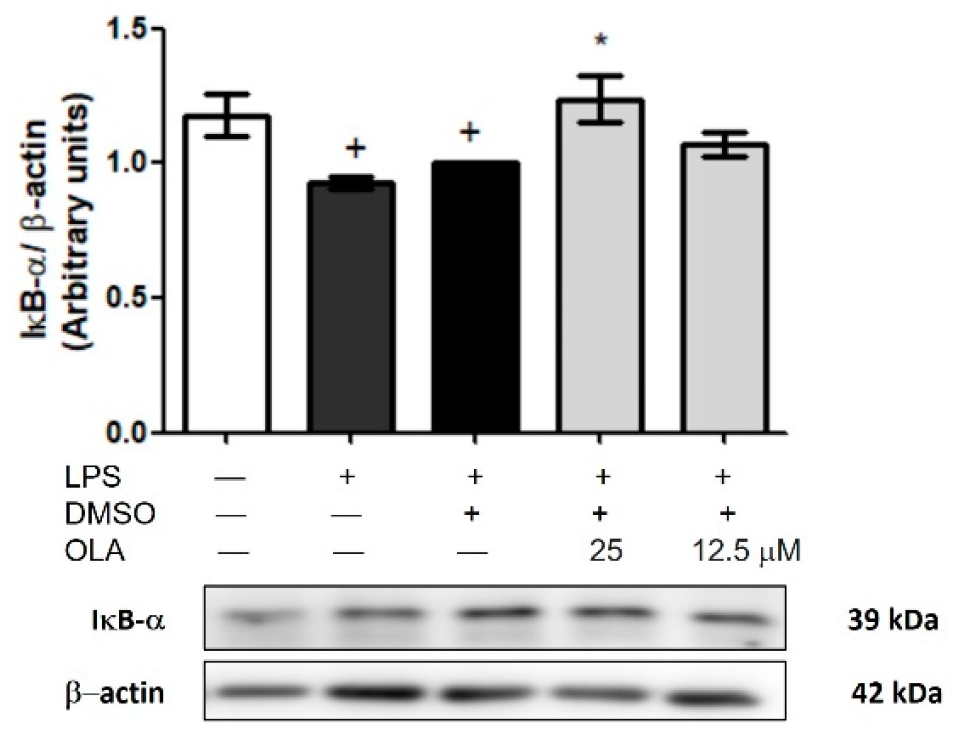 Pharmaceuticals 15 01338 g009 Pharmaceuticals 15 01338 g009