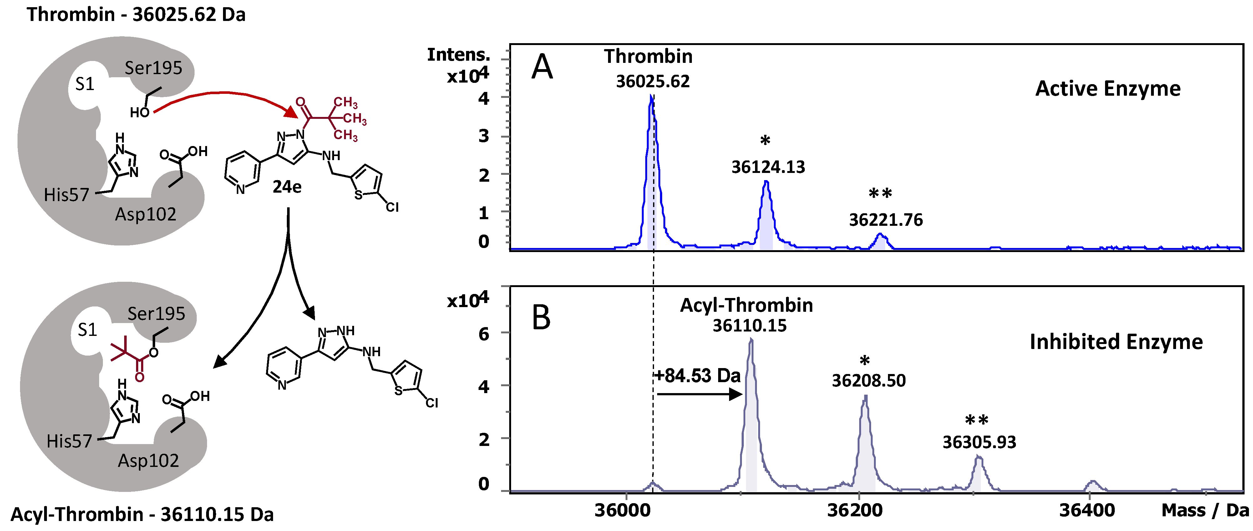 Pharmaceuticals 15 01340 g004