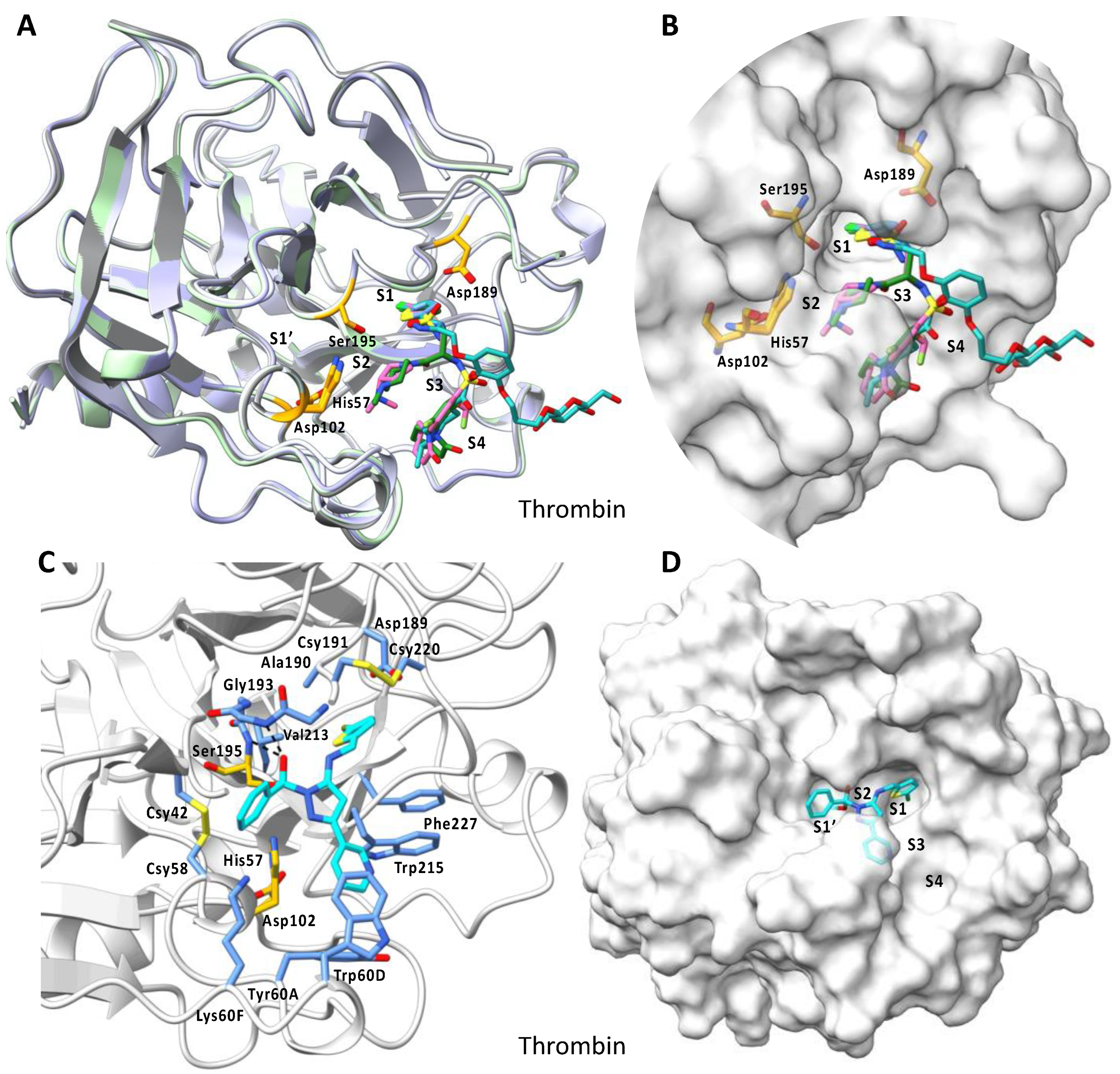 Pharmaceuticals 15 01340 g006