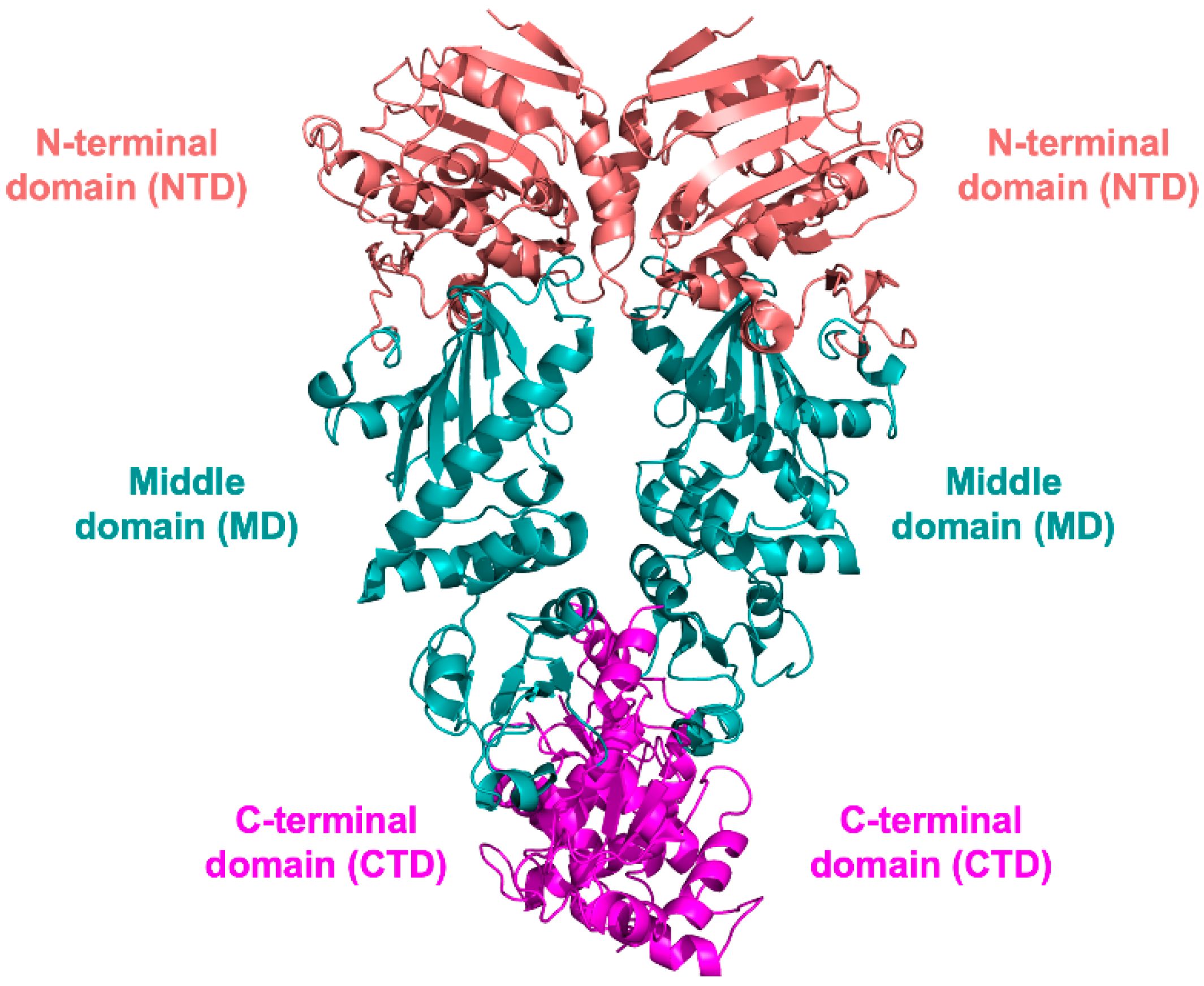 Pharmaceuticals 15 01341 g001 Pharmaceuticals 15 01341 g001