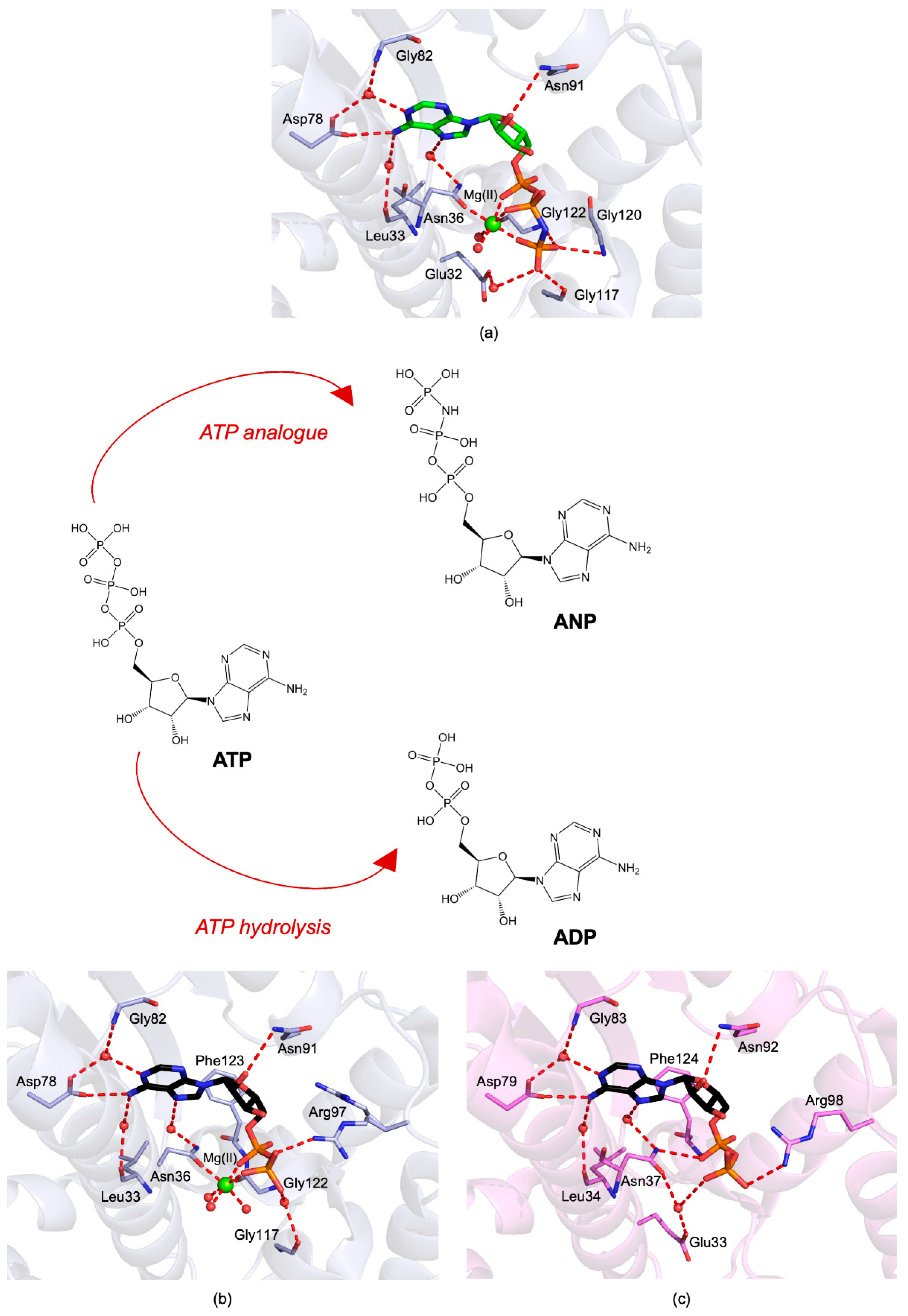 Pharmaceuticals 15 01341 g004 Pharmaceuticals 15 01341 g004
