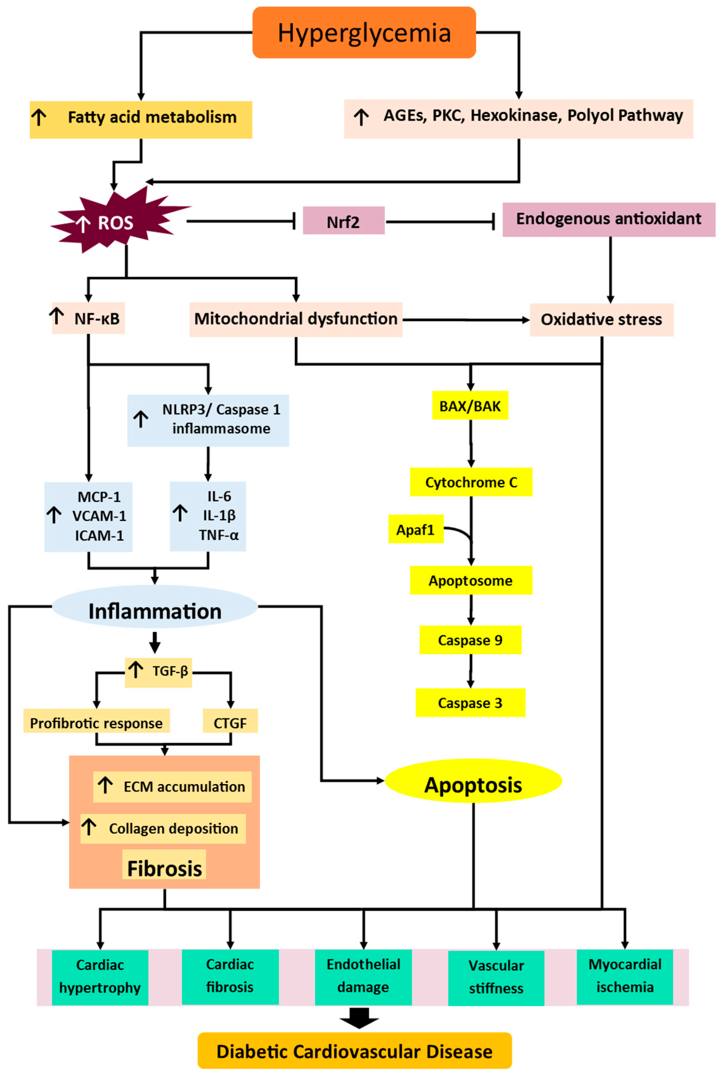 Pharmaceuticals 15 01344 g001