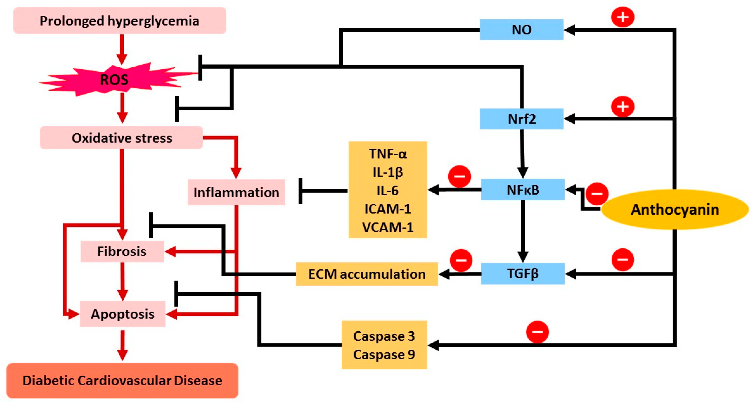 Pharmaceuticals 15 01344 g003