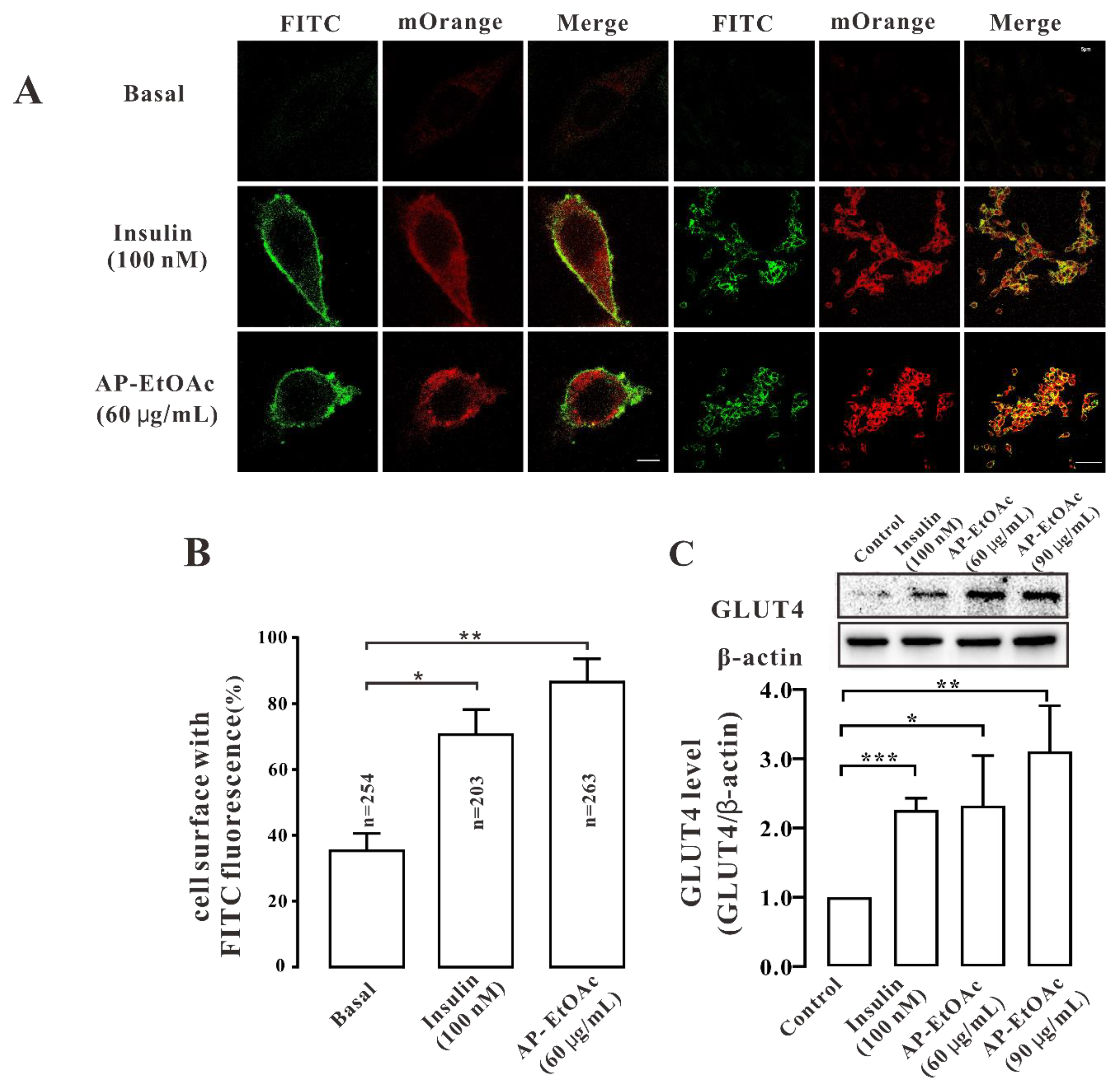 Pharmaceuticals 15 01346 g003 Pharmaceuticals 15 01346 g003