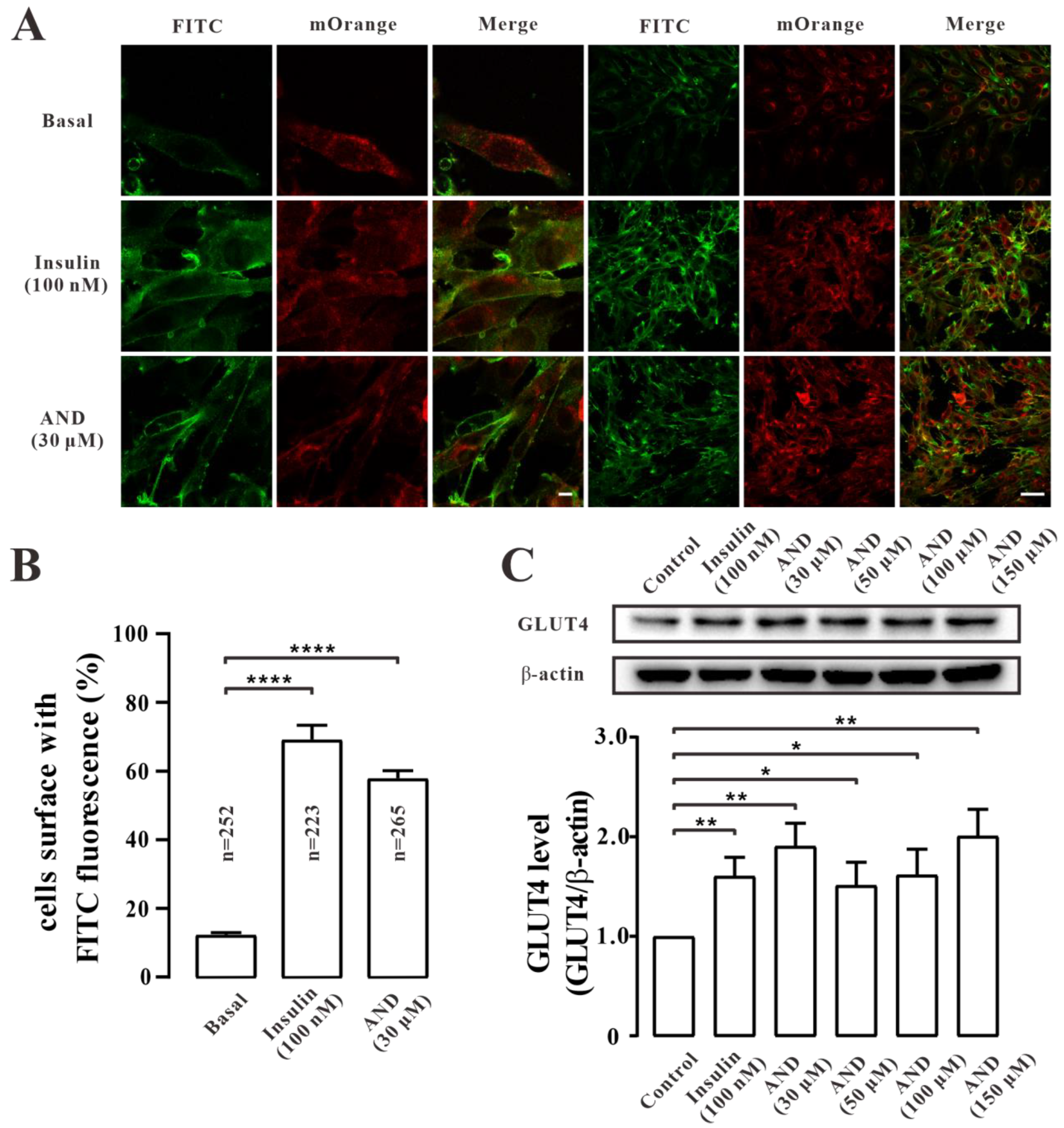 Pharmaceuticals 15 01346 g005 Pharmaceuticals 15 01346 g005